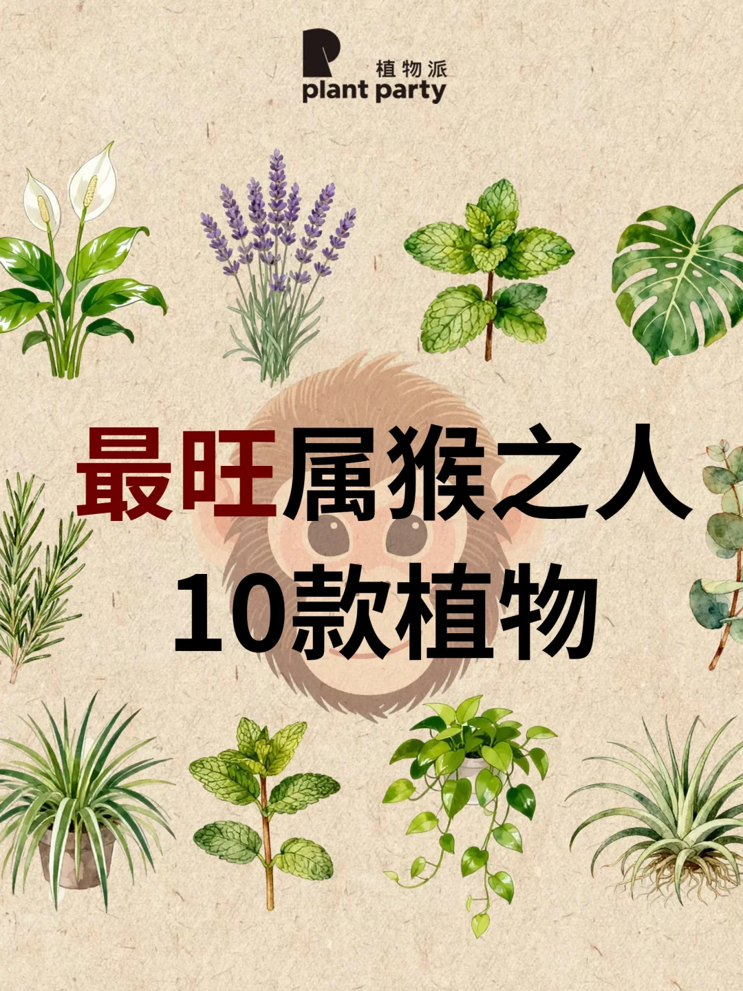 生肖猴🐒一生最旺天选植物💰旺到发光