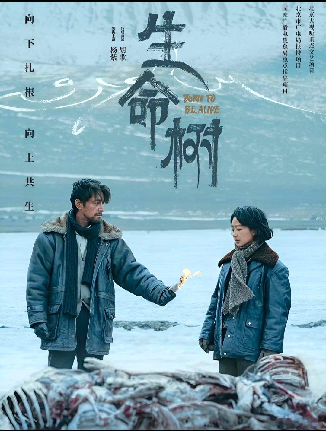 跟着央视追更杨紫生命树排面拉满！杨紫《生命树》直接被央视农业农村频道《大地讲堂