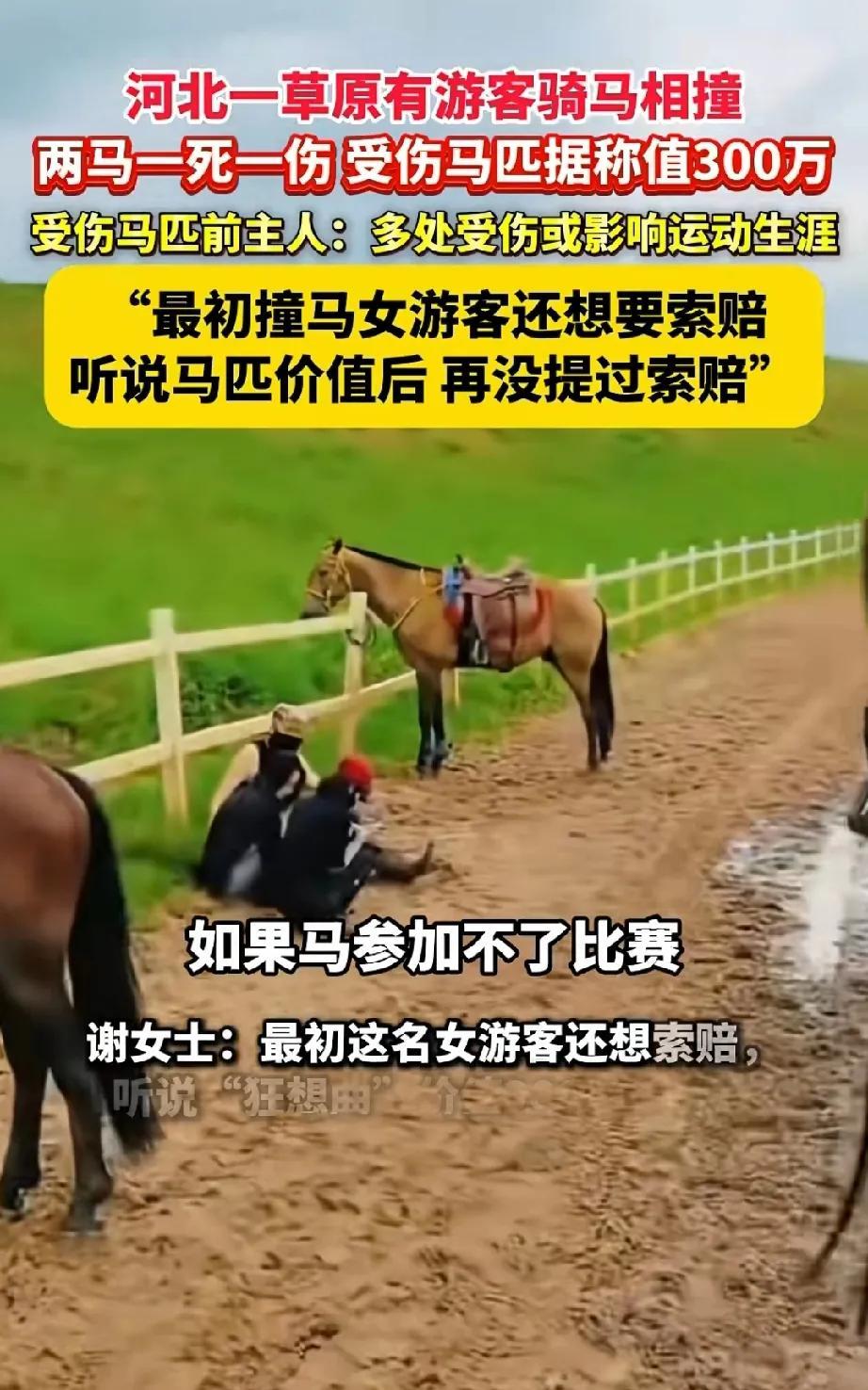 河北一草原上有游客骑马时受伤，并且致使两匹马相撞，结果一马死亡，一马受伤。近日
