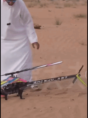 一开始看着还挺正常飞起来那一刻我都怀疑我是不是吃菌子了