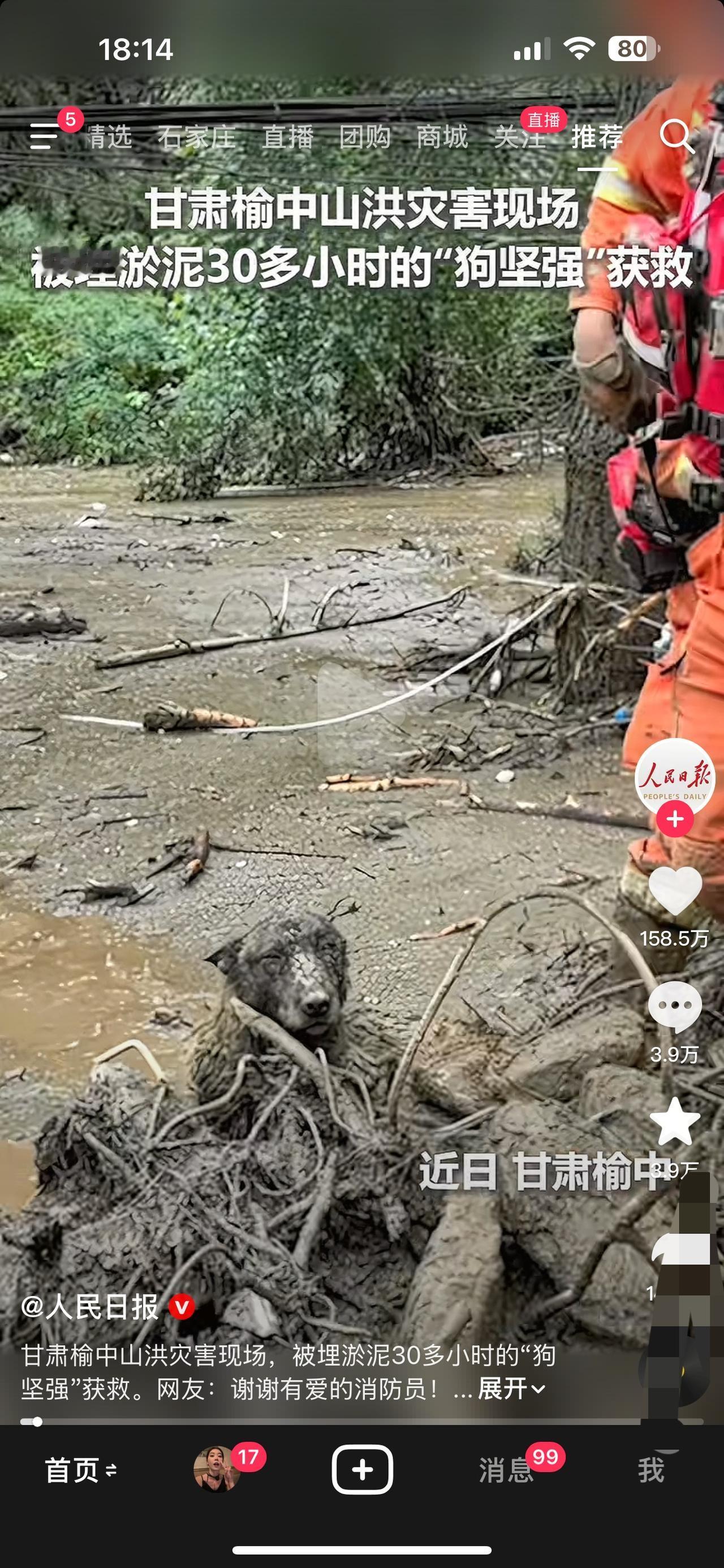 甘肃榆中山洪灾害现场被埋淤泥30多小时的“狗坚强“获救甘肃榆中，淤泥下的生