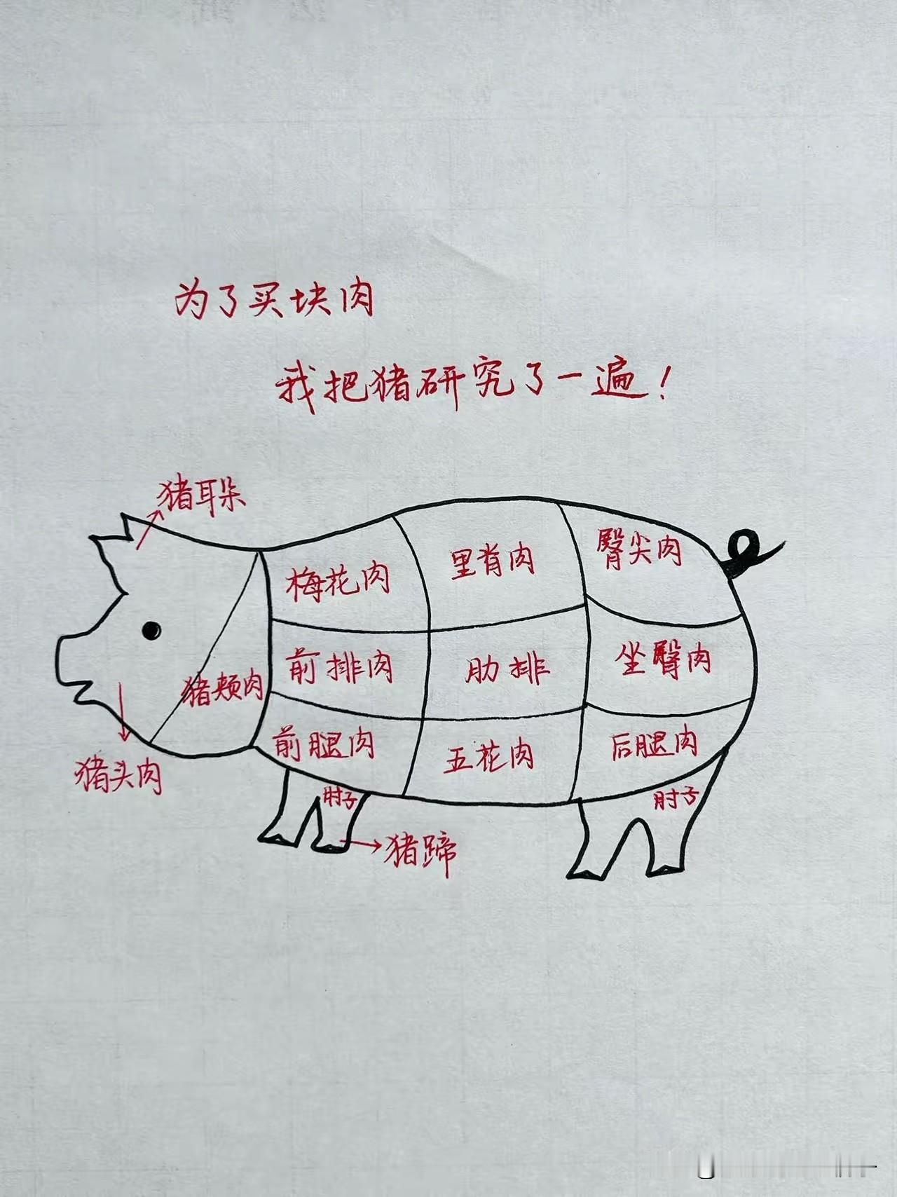 一头猪，每个部位口感都不一样！