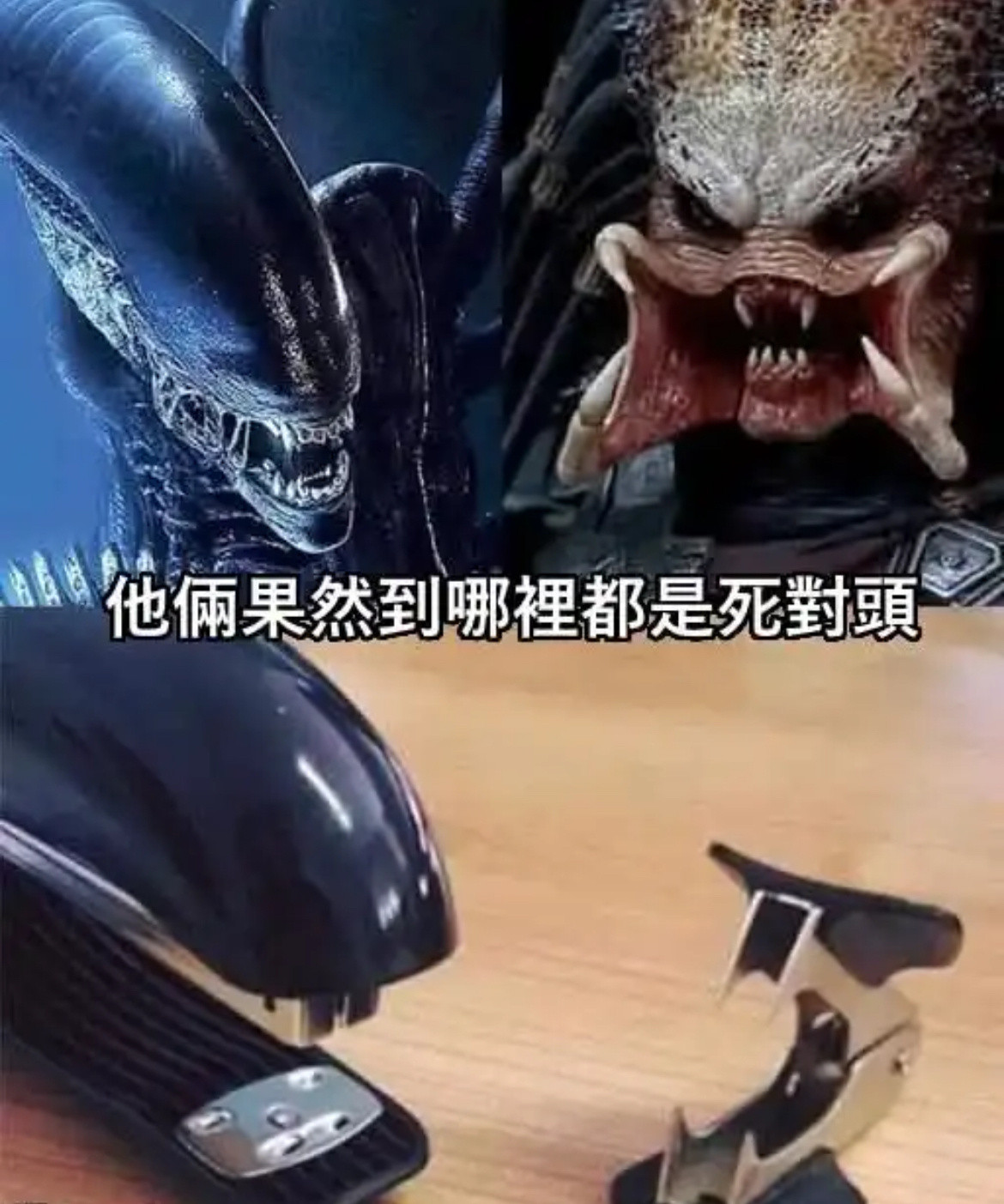 具象化了meme​​​