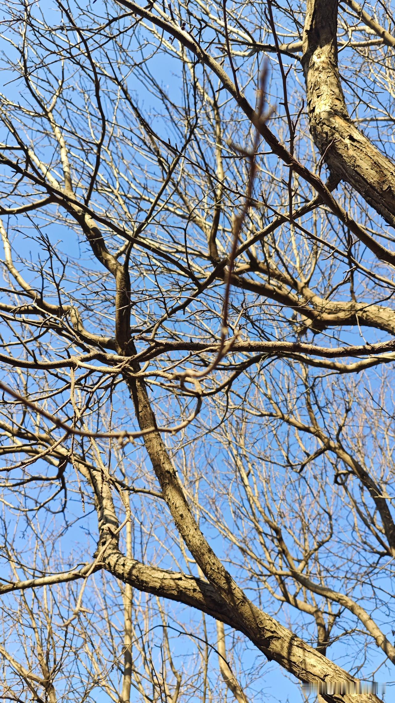 每年一次的体检结果显示我有子宫肌瘤。为此，检查的医师叮嘱我一定要去三甲医院再检查