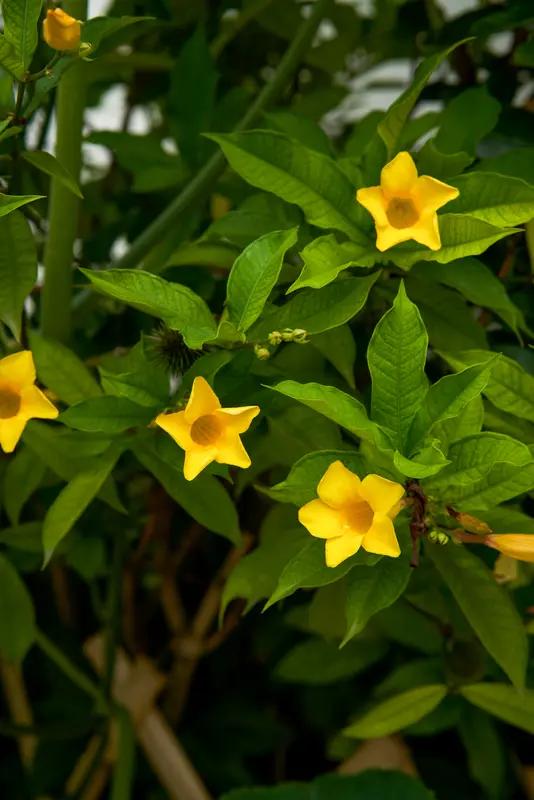 化工爆炸污染有多大?化工爆炸污染可太可怕了。之前江苏江阴澄星化工厂爆炸，火光冲