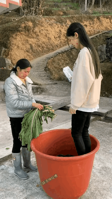 酸菜就是这样才更酸[大笑][大笑]