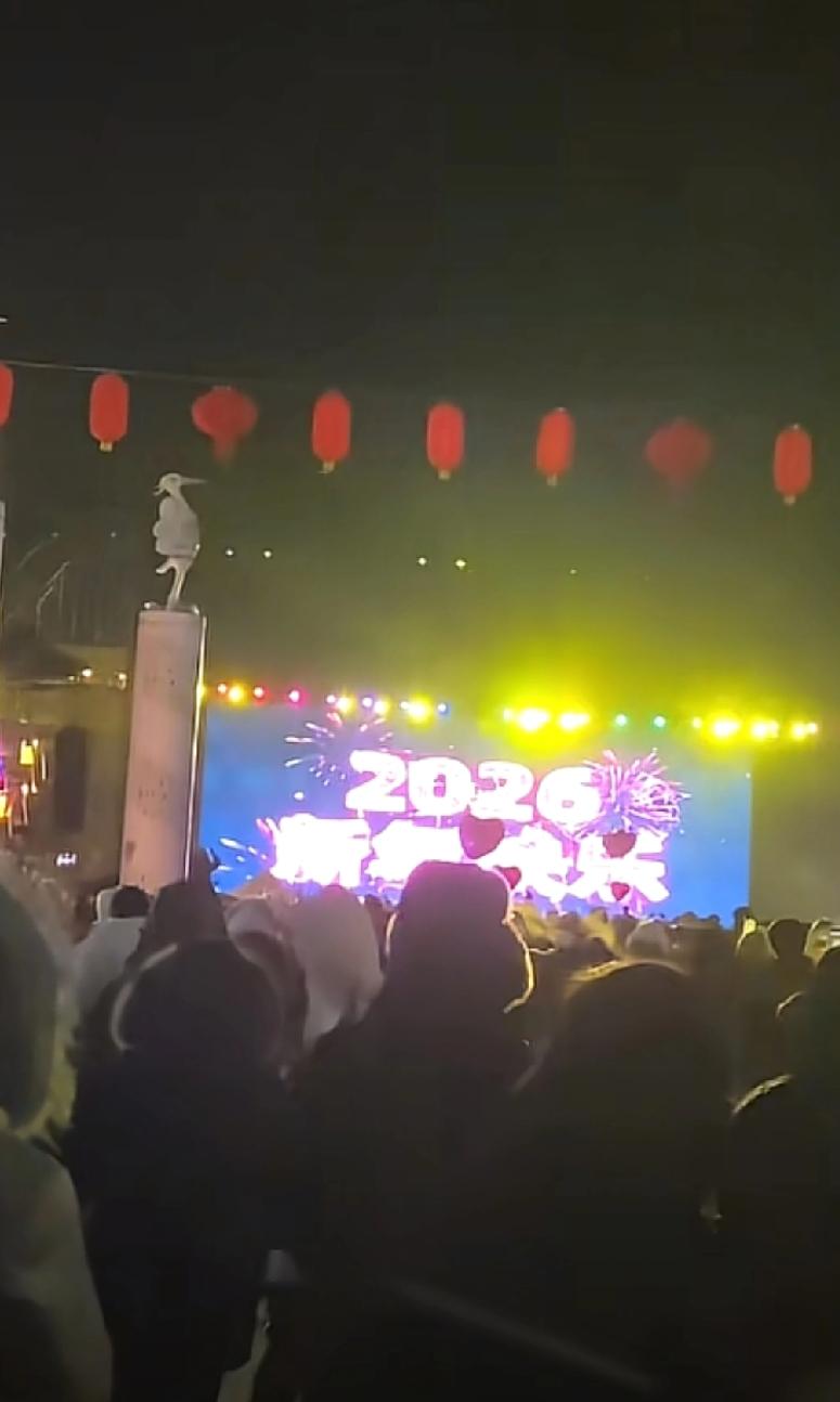 这事儿出在沈阳，丁香湖希望是一个误会昨天晚上很多人都通过手机平台看到了丁香湖的