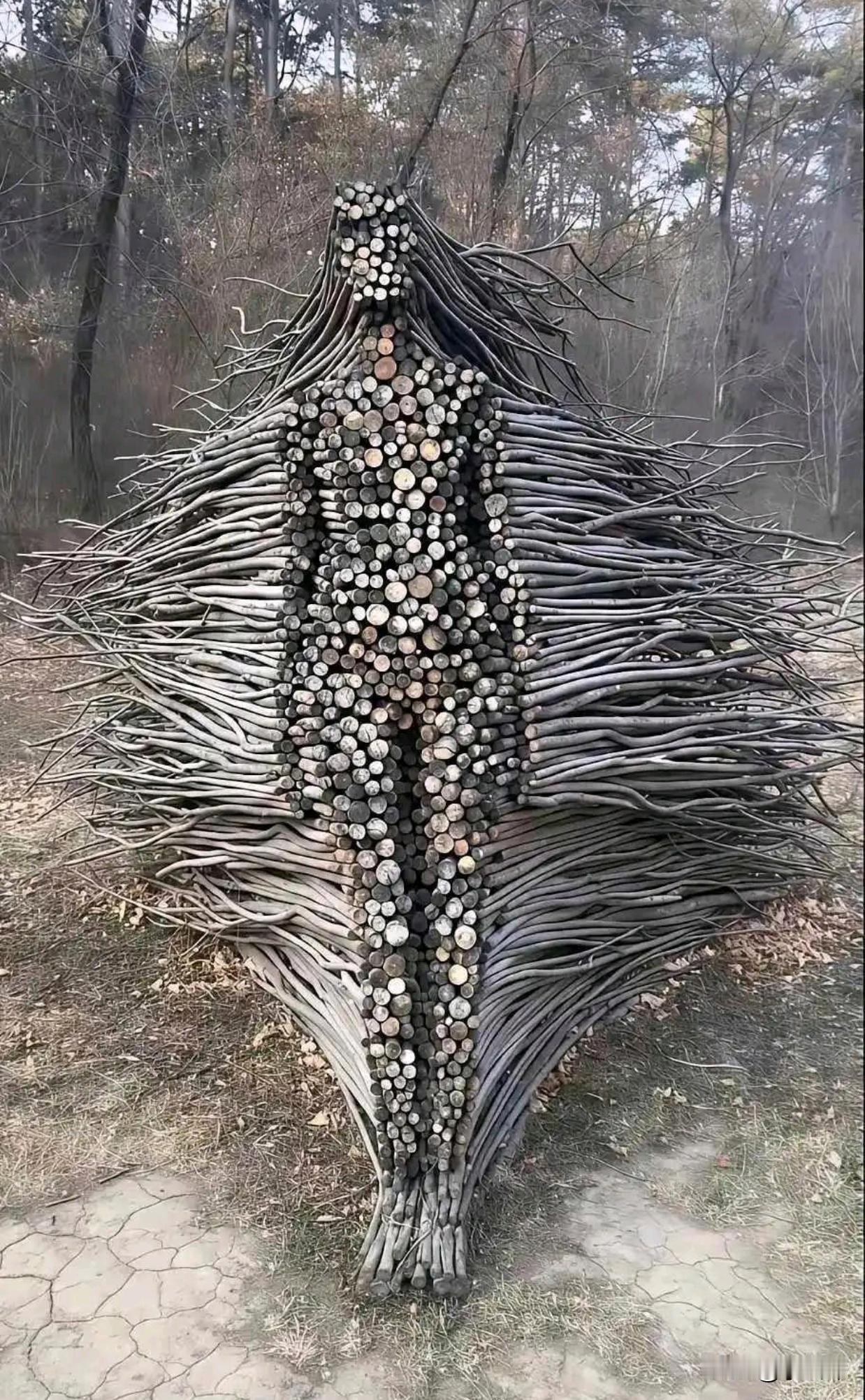 这也是个有才华的人，一般人搞不出这效果这柴堆的像AI生成的一样