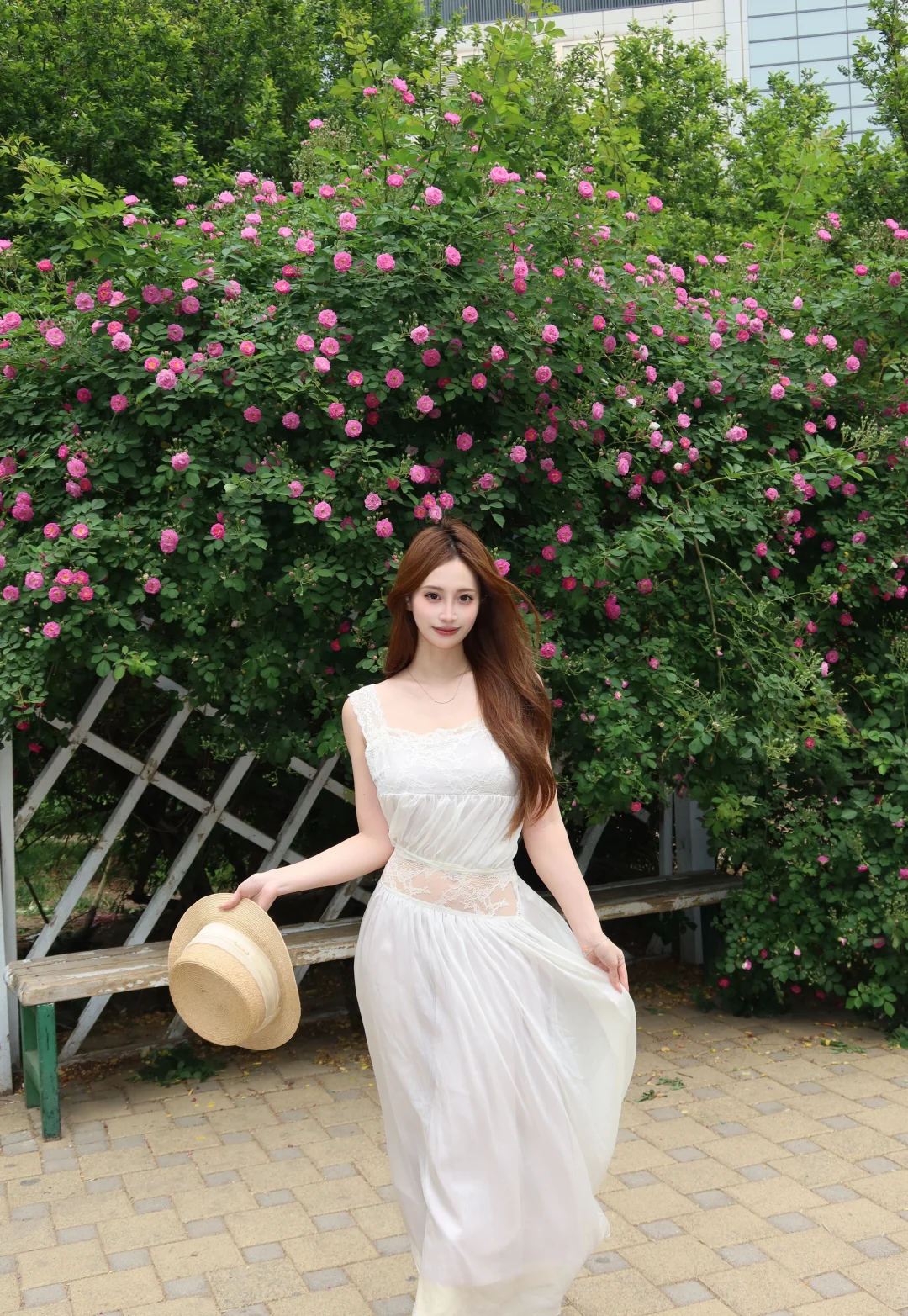 天津蔷薇花开了🌸