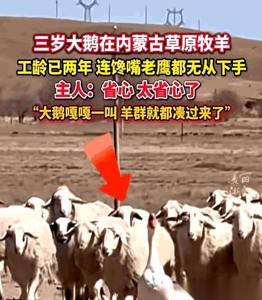 妈呀，刚刷到一个事儿，直接给我看愣了。就因为跟“同事”关系不好，天天打架，被老