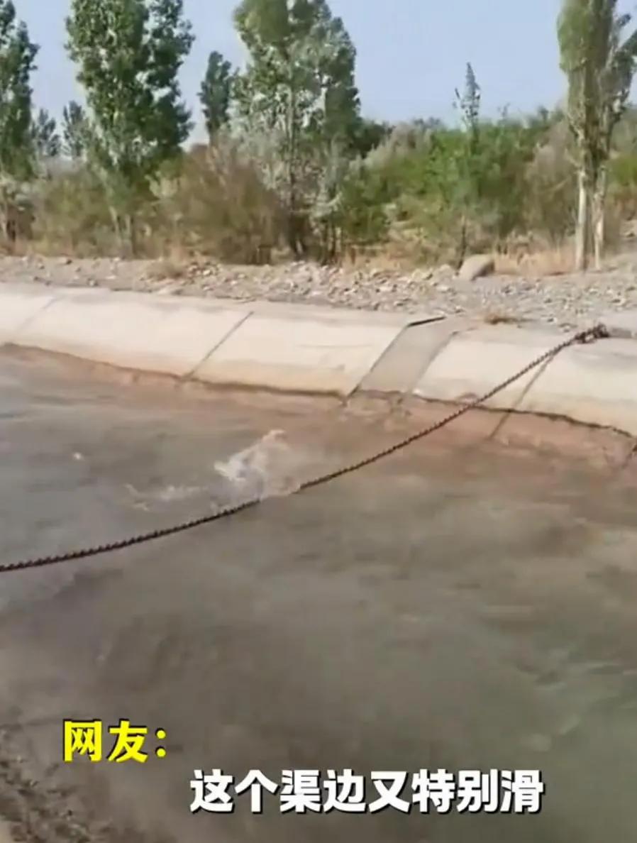 光滑水渠人掉下去就没了，新疆救命绳救了多少人？水渠壁滑水流急，落水后几乎无力