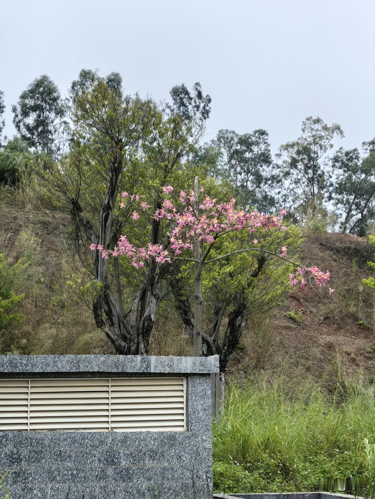 昨晚我家小的跟我说她头不舒服，问她是不是头疼就说不舒服甲流刚盛行那会儿我