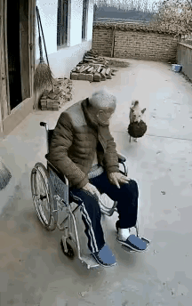 狗叼来一只蚂蜂窝，把大爷的偏瘫治跑了，这也真是个奇迹。