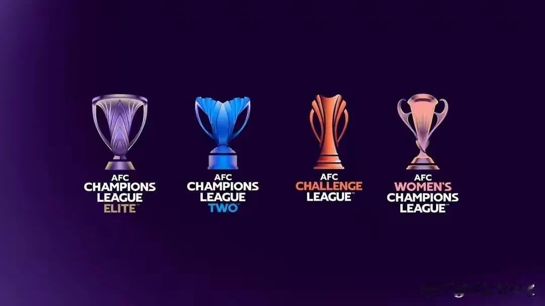 明年中超只有这亚冠精英赛正赛的名额，按照顺位是上海海港！我建议足协找海港谈一谈，