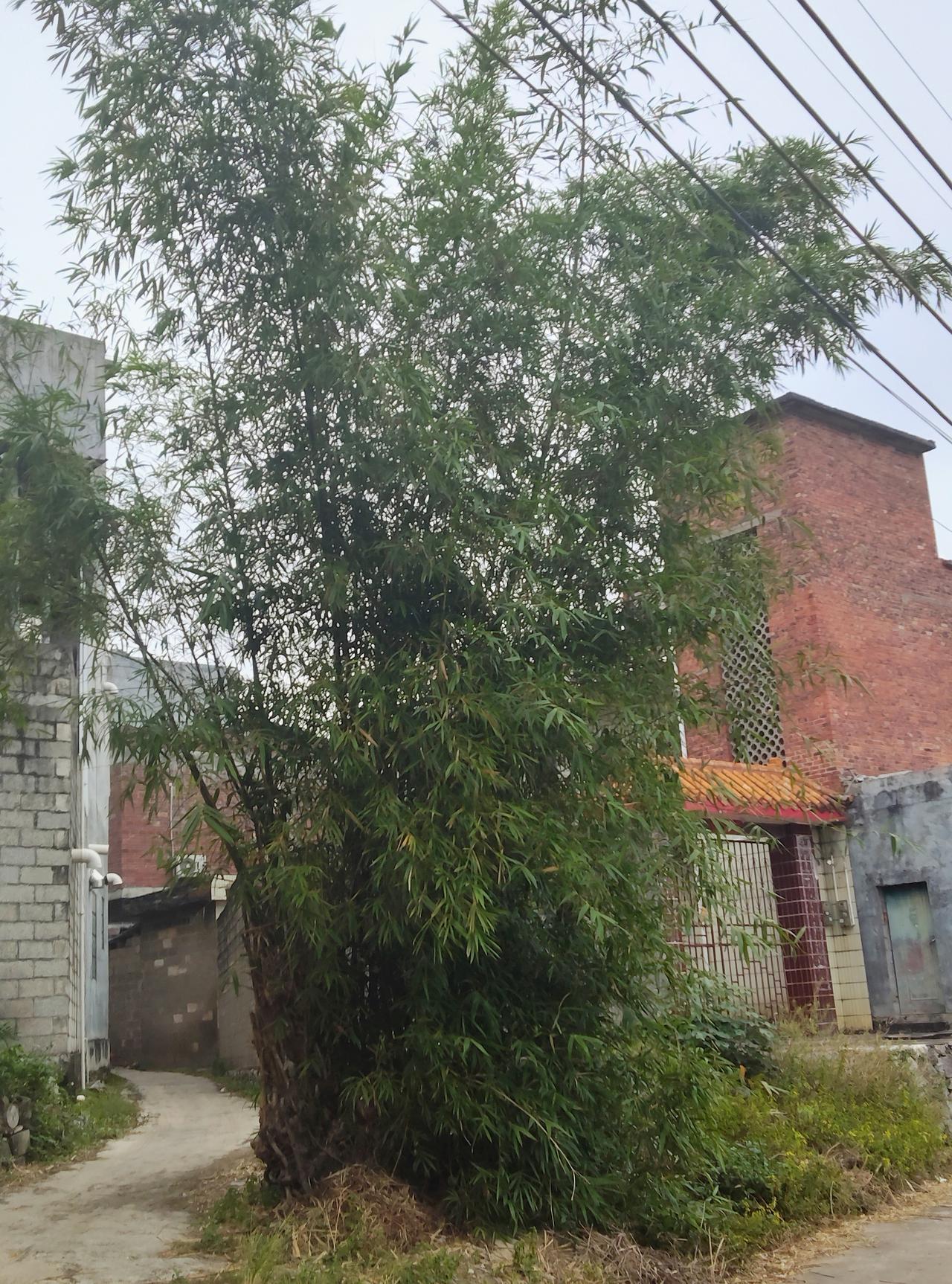 又一个冬天到了，乌克兰对俄罗斯的打法好像真变了。以前冬天对乌克兰来说是噩梦，