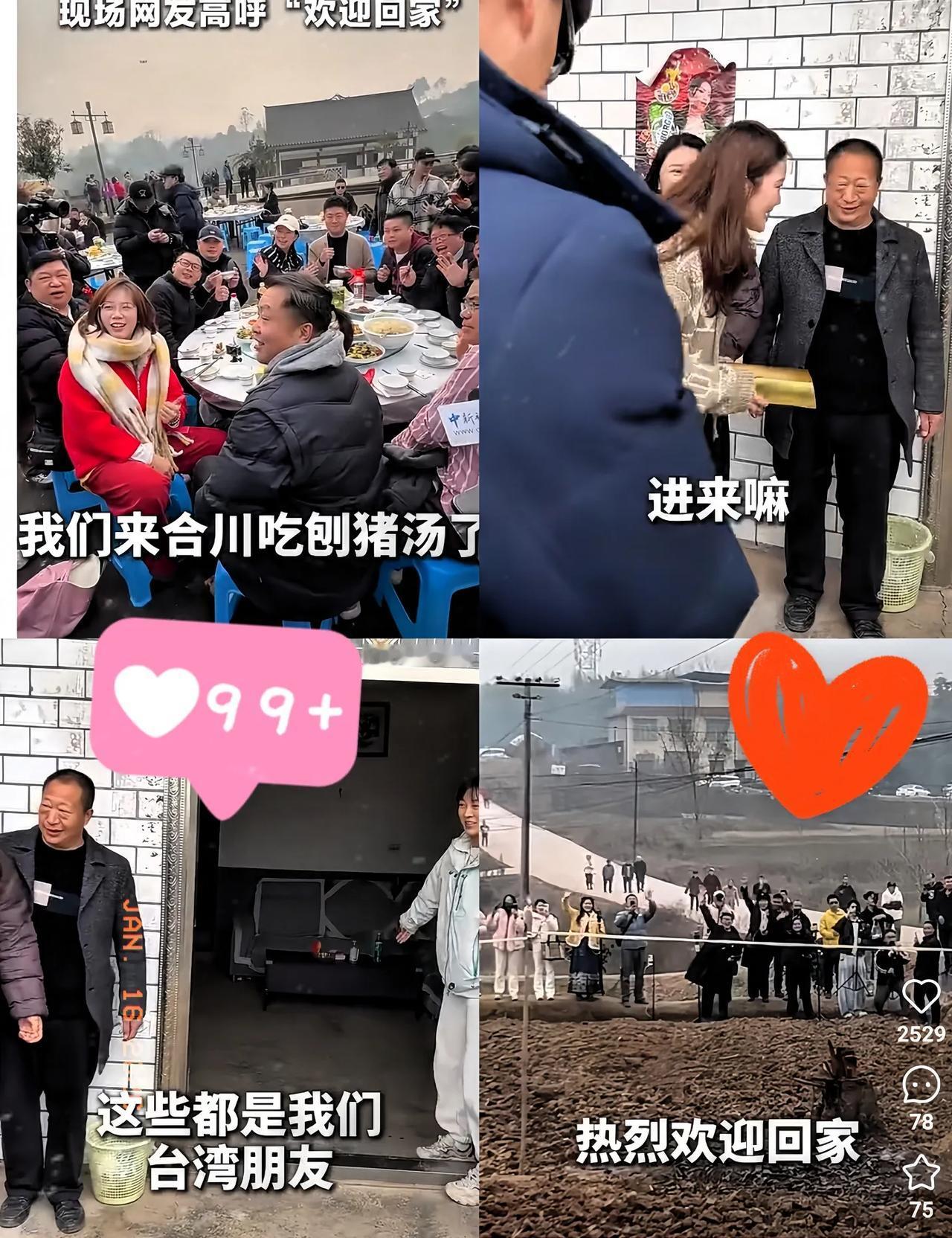 真的让人泪目了！今天呆呆在家接待了湾湾的同胞们，没有直播也没拍视频，但她接待