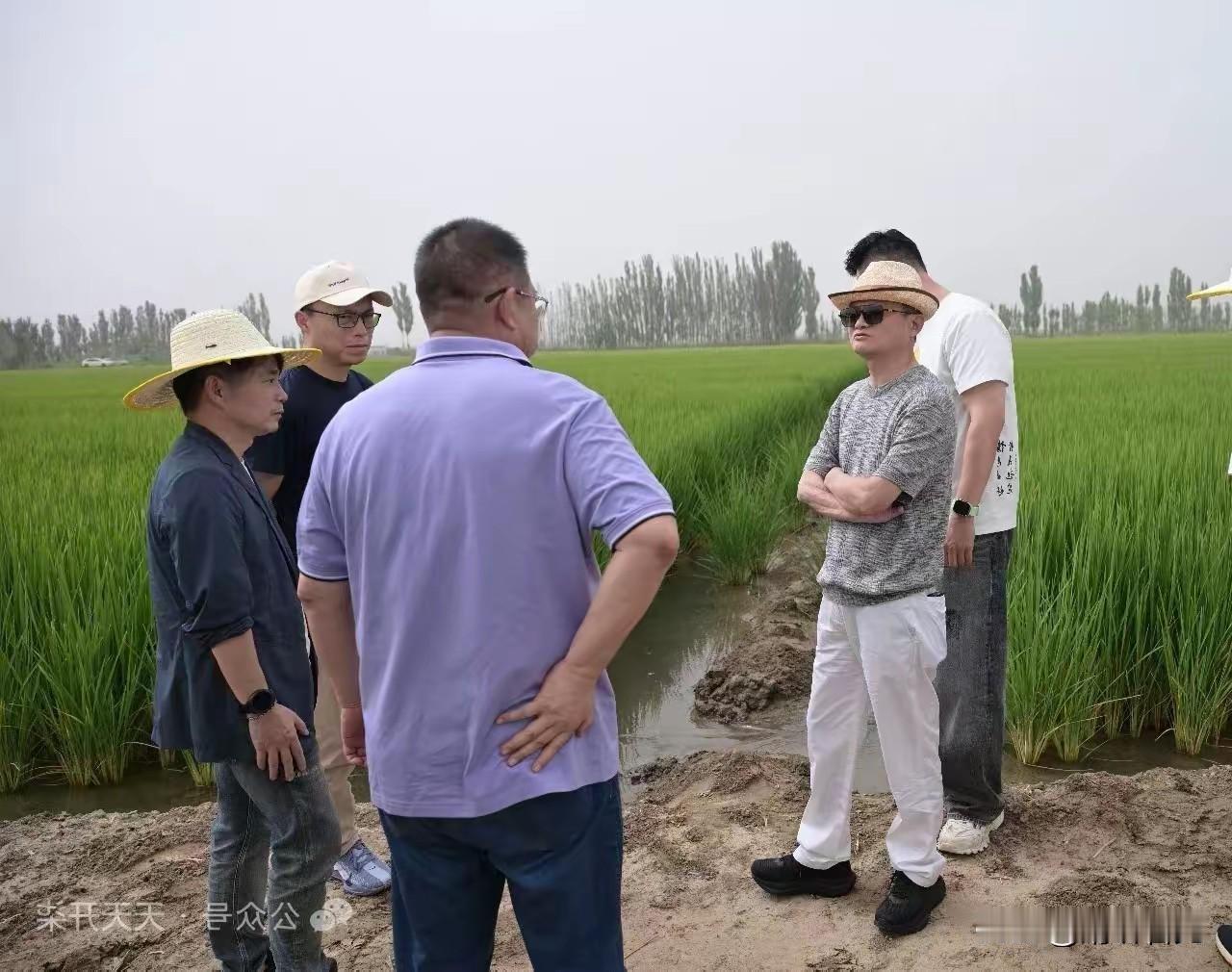 发现了吗？这次马云现身新疆，先不论他这一趟是否为公务出行。马云如今笑容可掬的