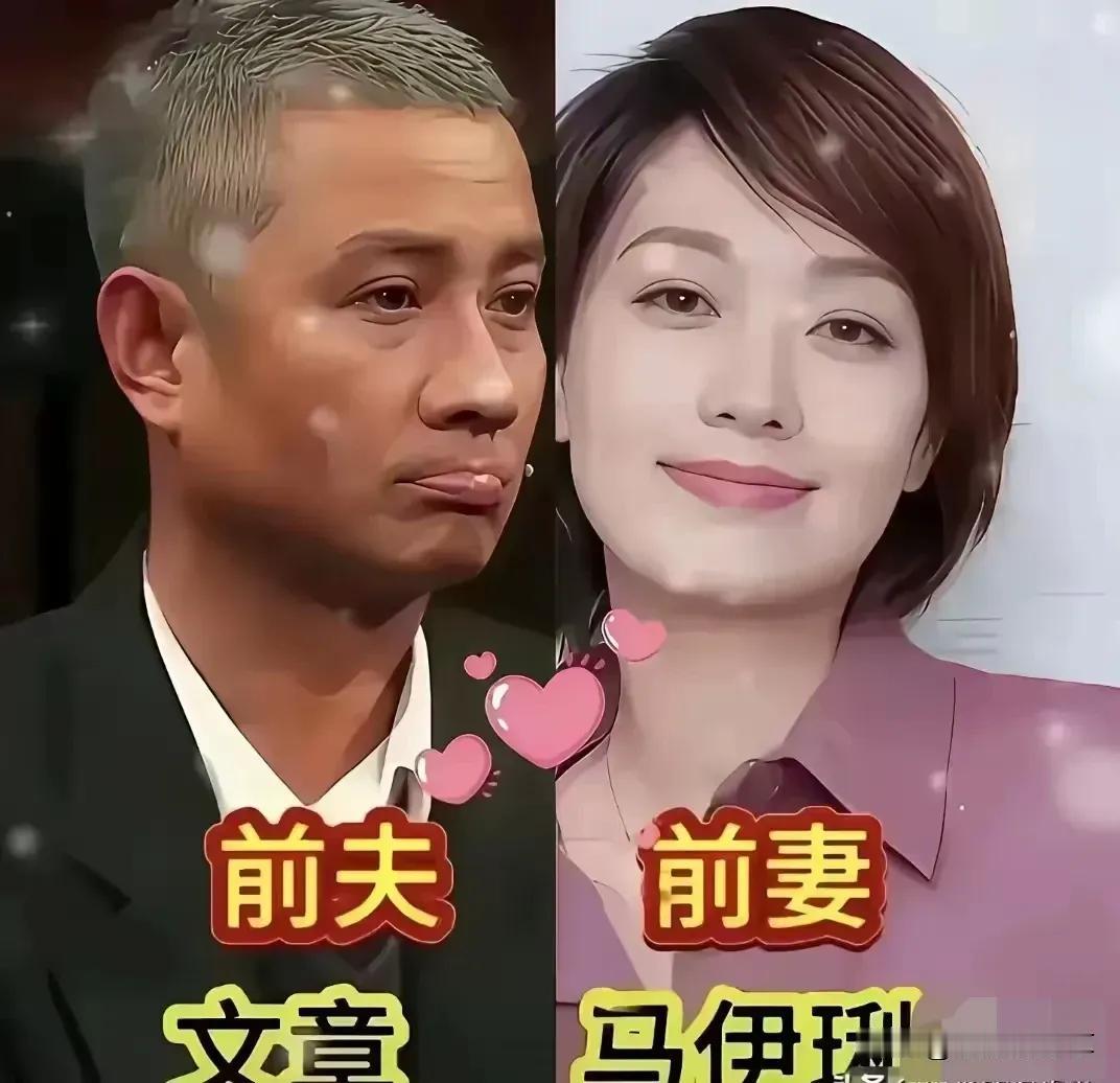 奚美娟曾经的另一半。马伊俐曾经的另一半。张歆艺曾经的另一半。陈晓旭曾经的另