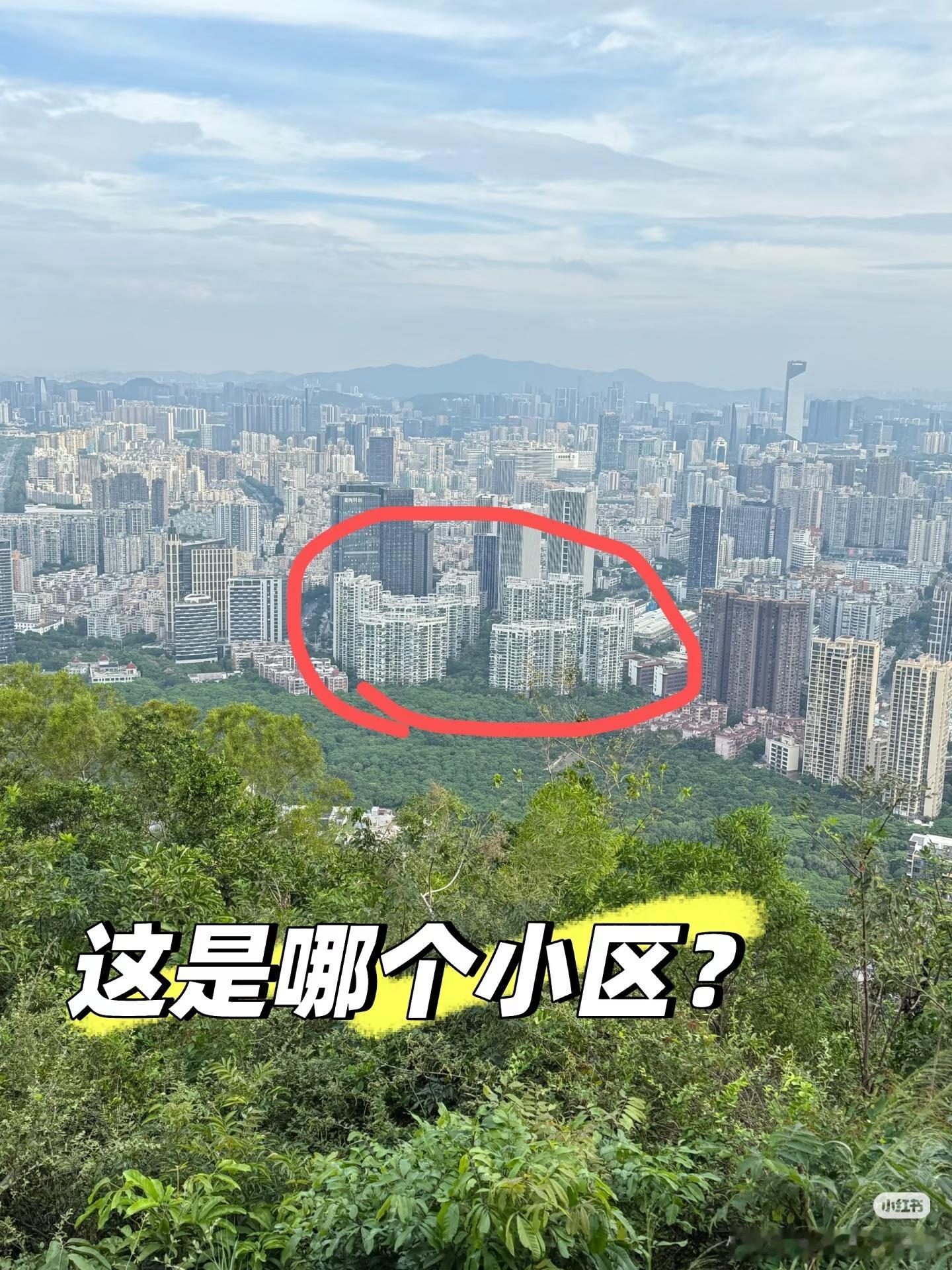 深圳南山区城市山林，自住还是不错的。​​​