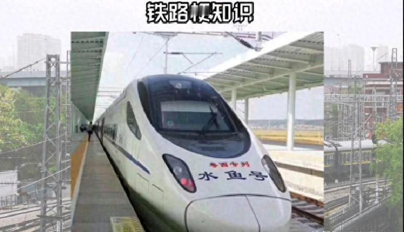 为什么广东各地长途大巴又开始兴旺了因为再也不用坐水鱼号了广湛高铁还没开通，票价