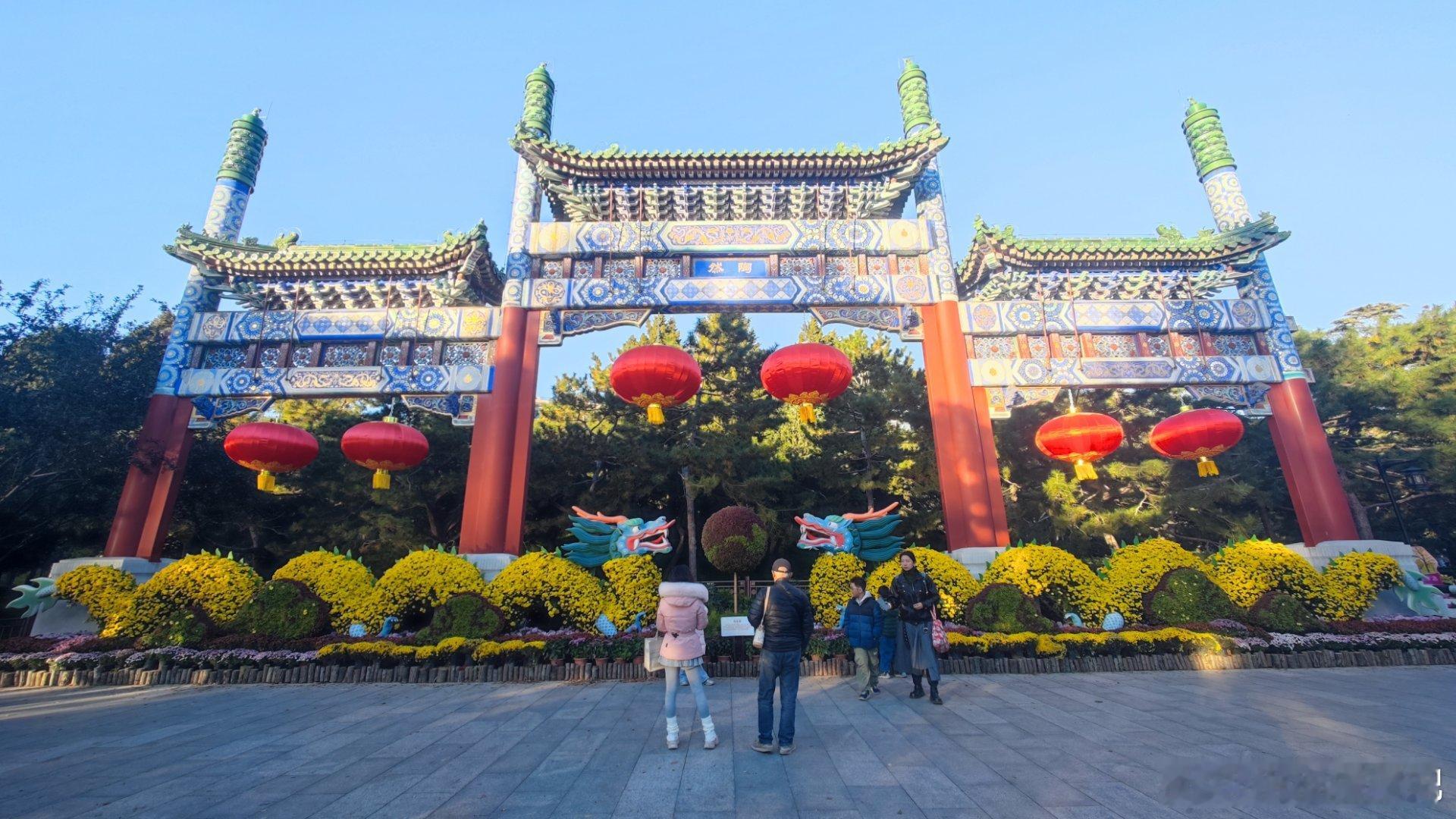 陶然亭公园的金黄美景,感受京城的浪漫气息北京秋意满阶北京秋景如画摄影