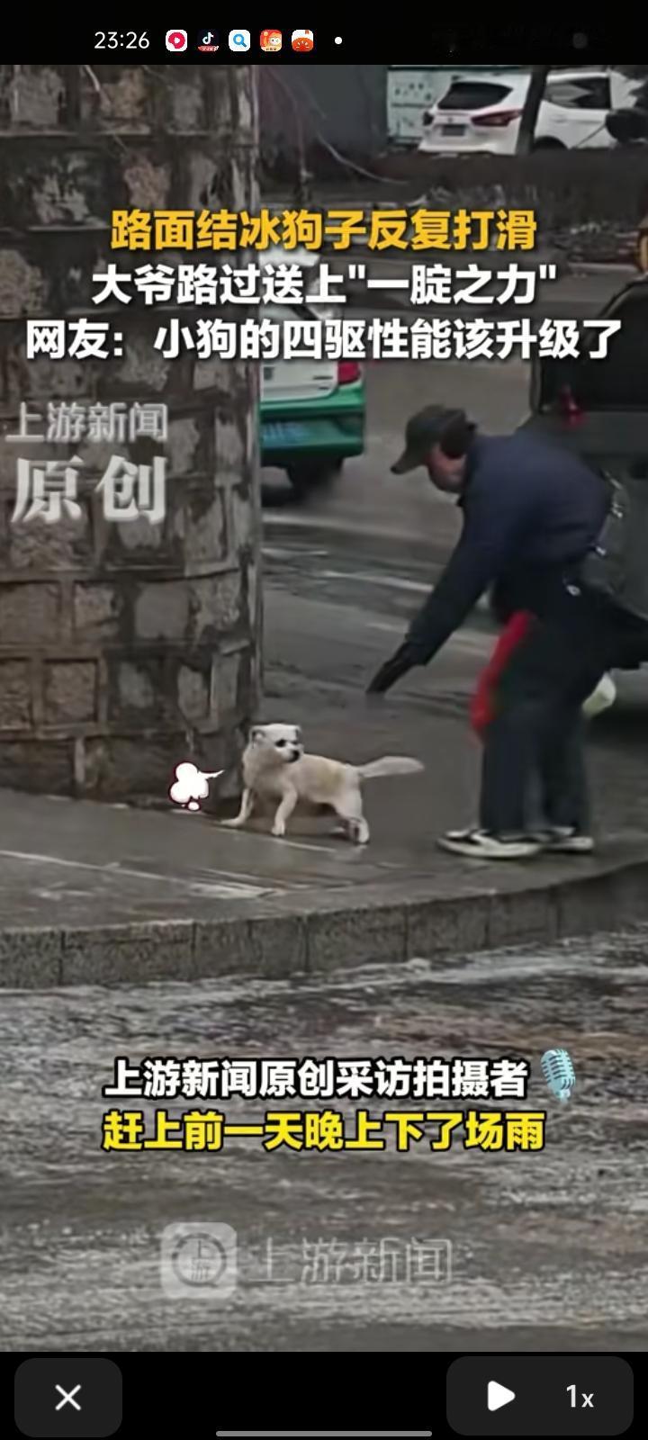 12月20日，吉林白山。网友晒视频称，路面结冰，狗子上坡反复打滑，一位大爷路过送