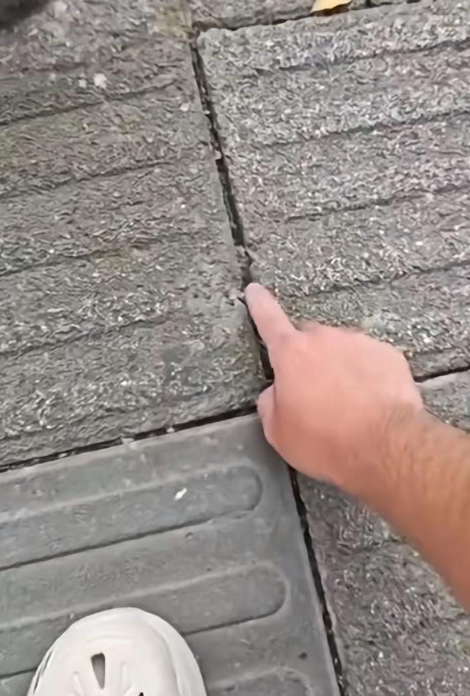 钓鱼佬立大功！重庆男子钓鱼路上察觉异样，救下整条街的人真的太佩服了！都说钓
