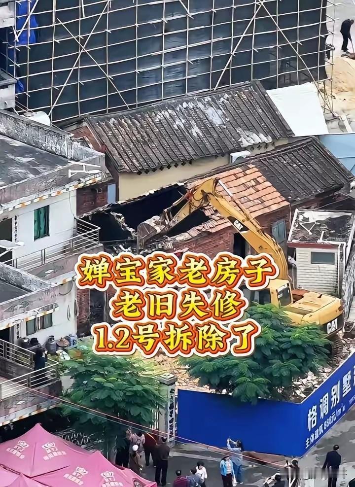 全红婵爸妈给所有父母提了个醒他们一家七口人，加上爷爷奶奶就是九口，挤在果园的