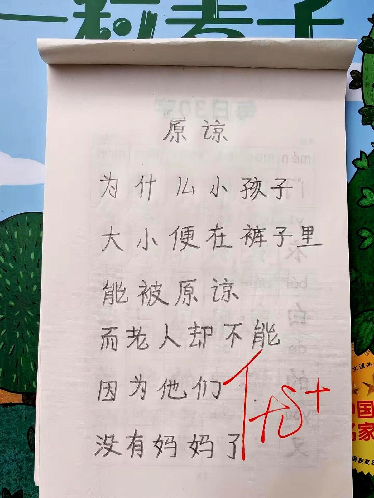 孩子写诗看哭大人周口一年级王梓鑫写妈妈：月亮爬上窗，她还在厨房，油花像星星落