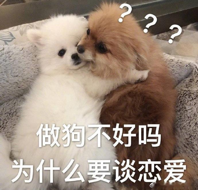 跟白羊谈恋爱：轰轰烈烈但短跟金牛谈恋爱：细水长流但慢跟双子谈恋爱：每天不一样但累