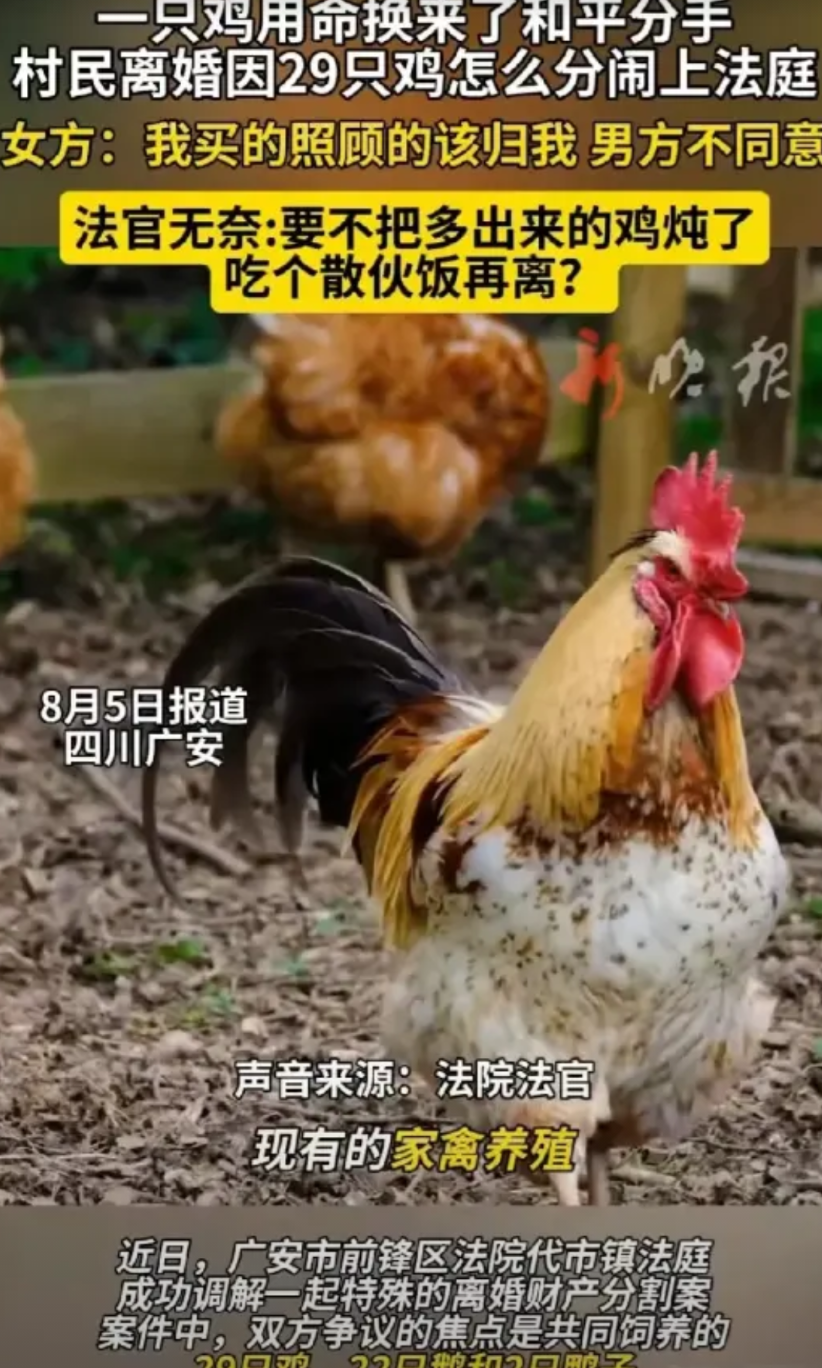 四川广安，有对夫妻闹离婚，财产分割时麻烦不断。房子涂女士按规定带不走，家里又没多