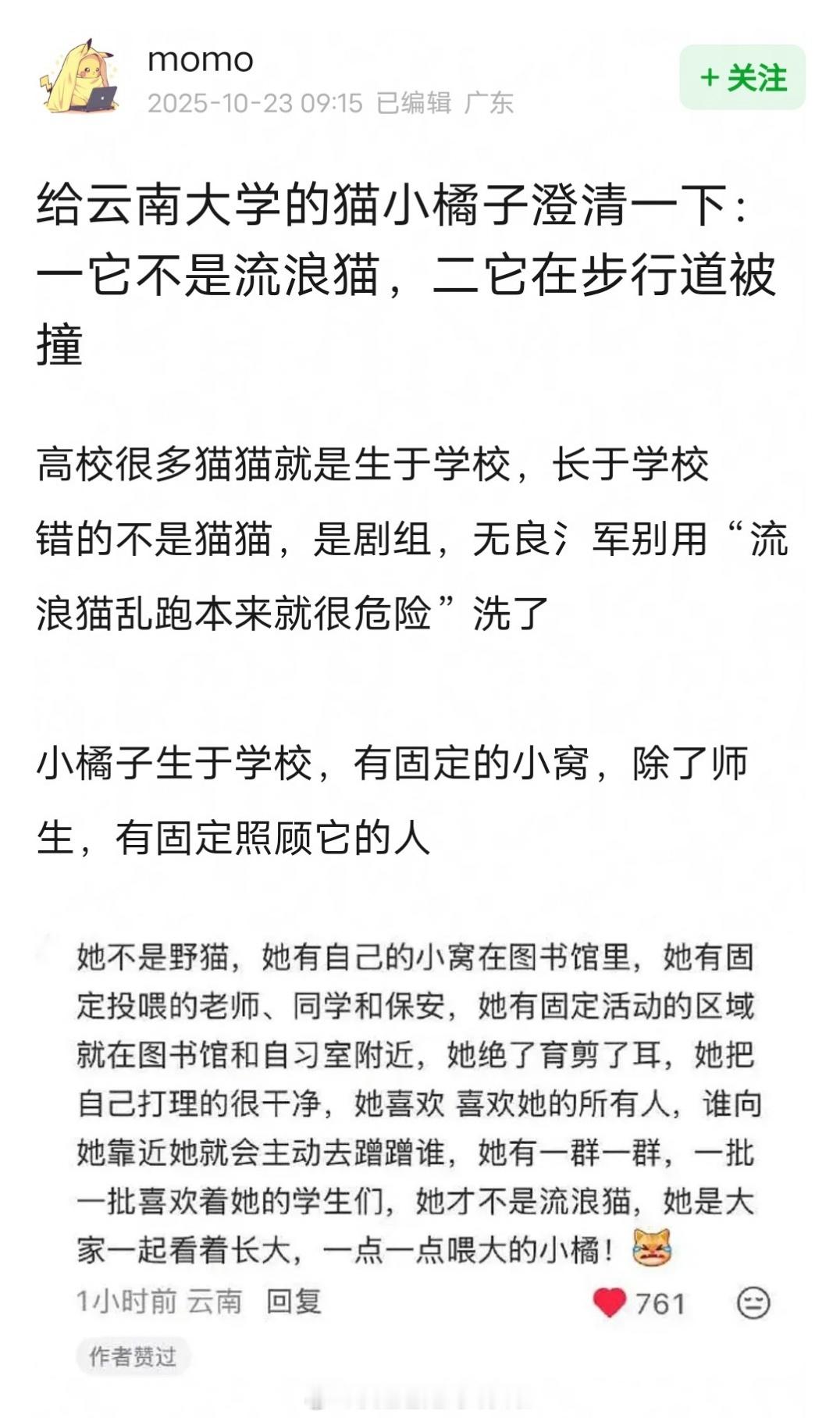 网友澄清云南大学的小橘子不是流浪猫，它是在步行道被撞的，请不要用流浪猫四处乱跑本