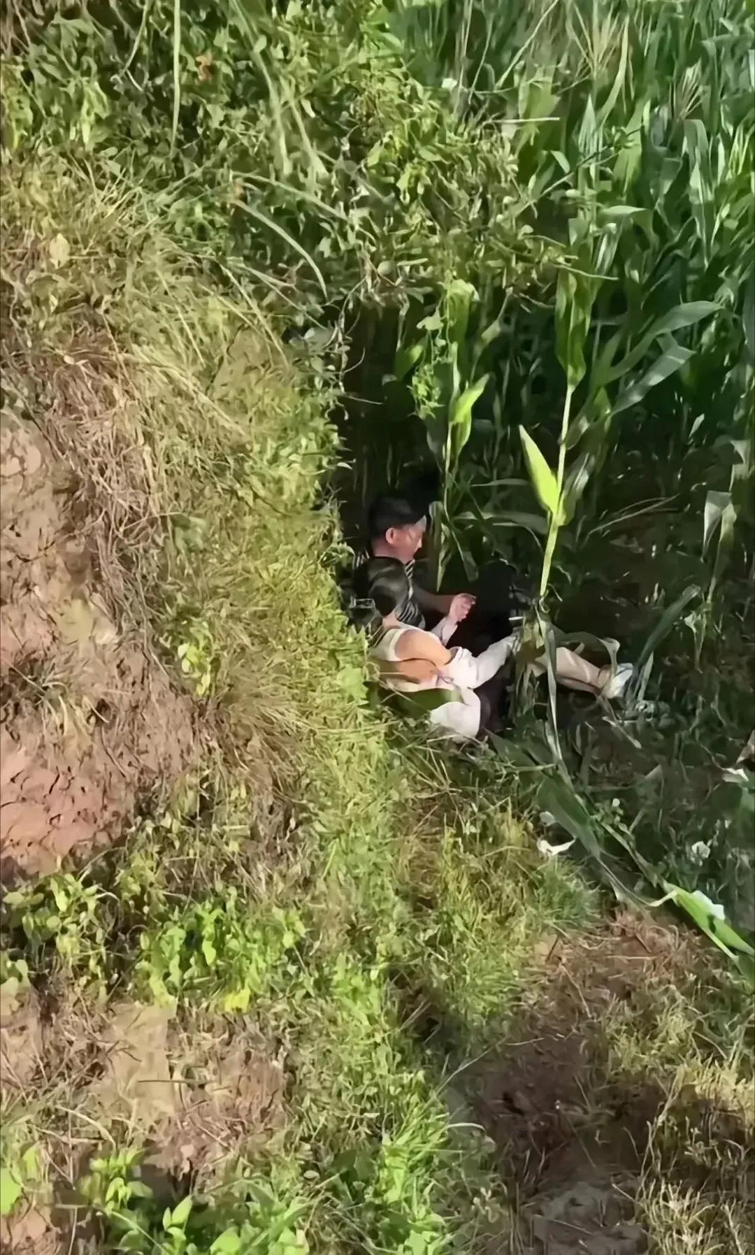 这样的爱情，已经不多了！