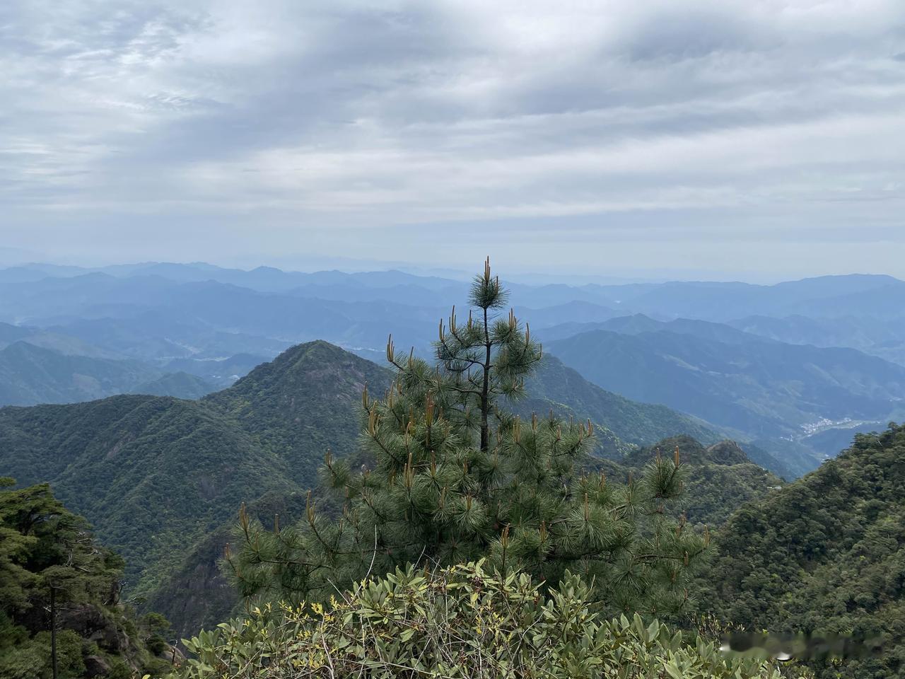 三清山一日游，主要游览一下核心景点就可以了，爬山真的很累，但是山景真的很美，天气