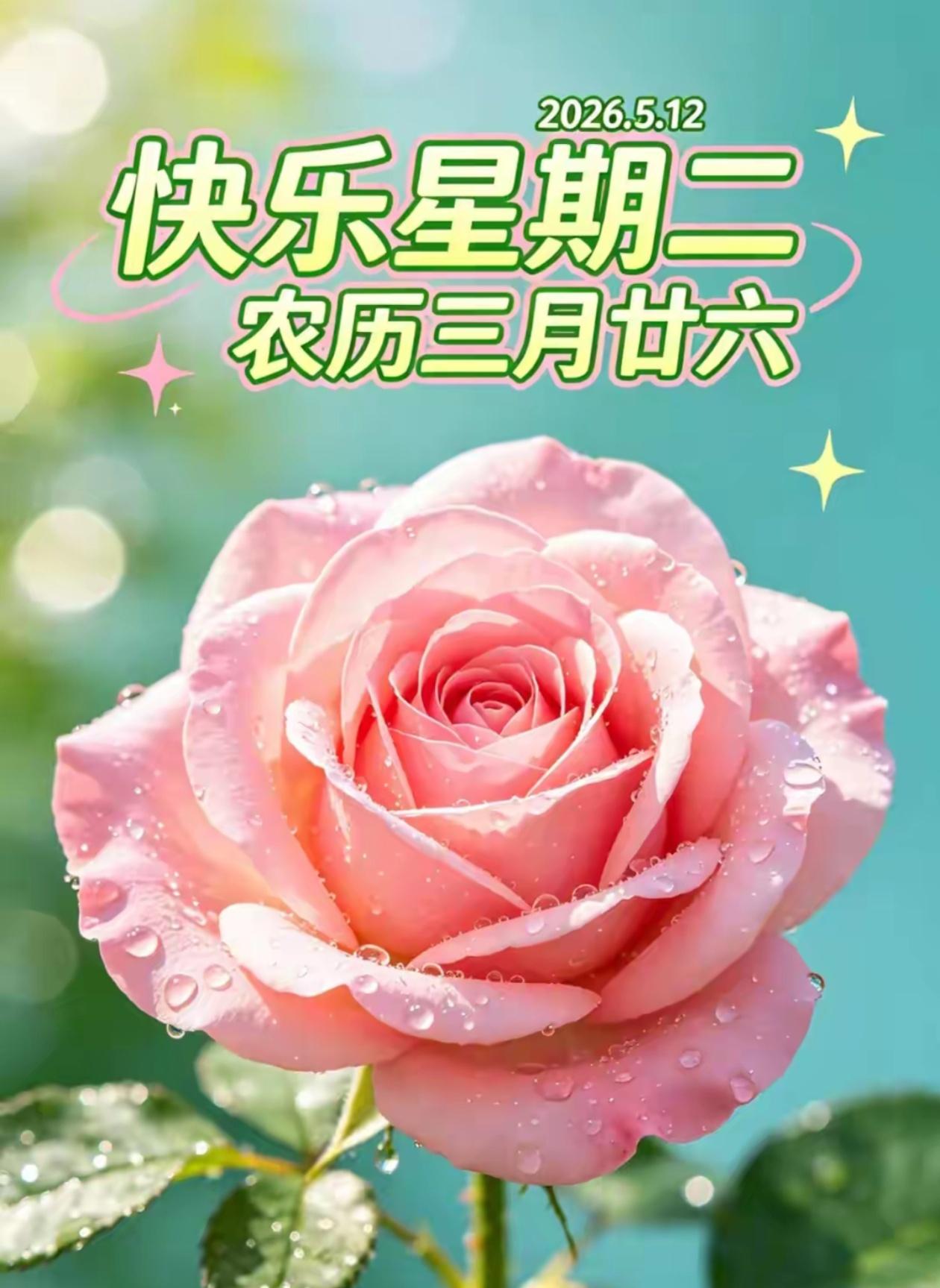 🌺☘️5./12.周二早安.福气满满☘️🌺☘️☀️浅夏晨光铺万里，岁月安