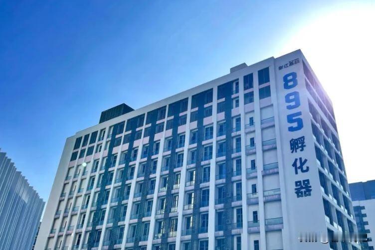 上海这波操作不得了,孵出未来产业新龙头这些年上海搞科技真是拼了命的劲头,你知道