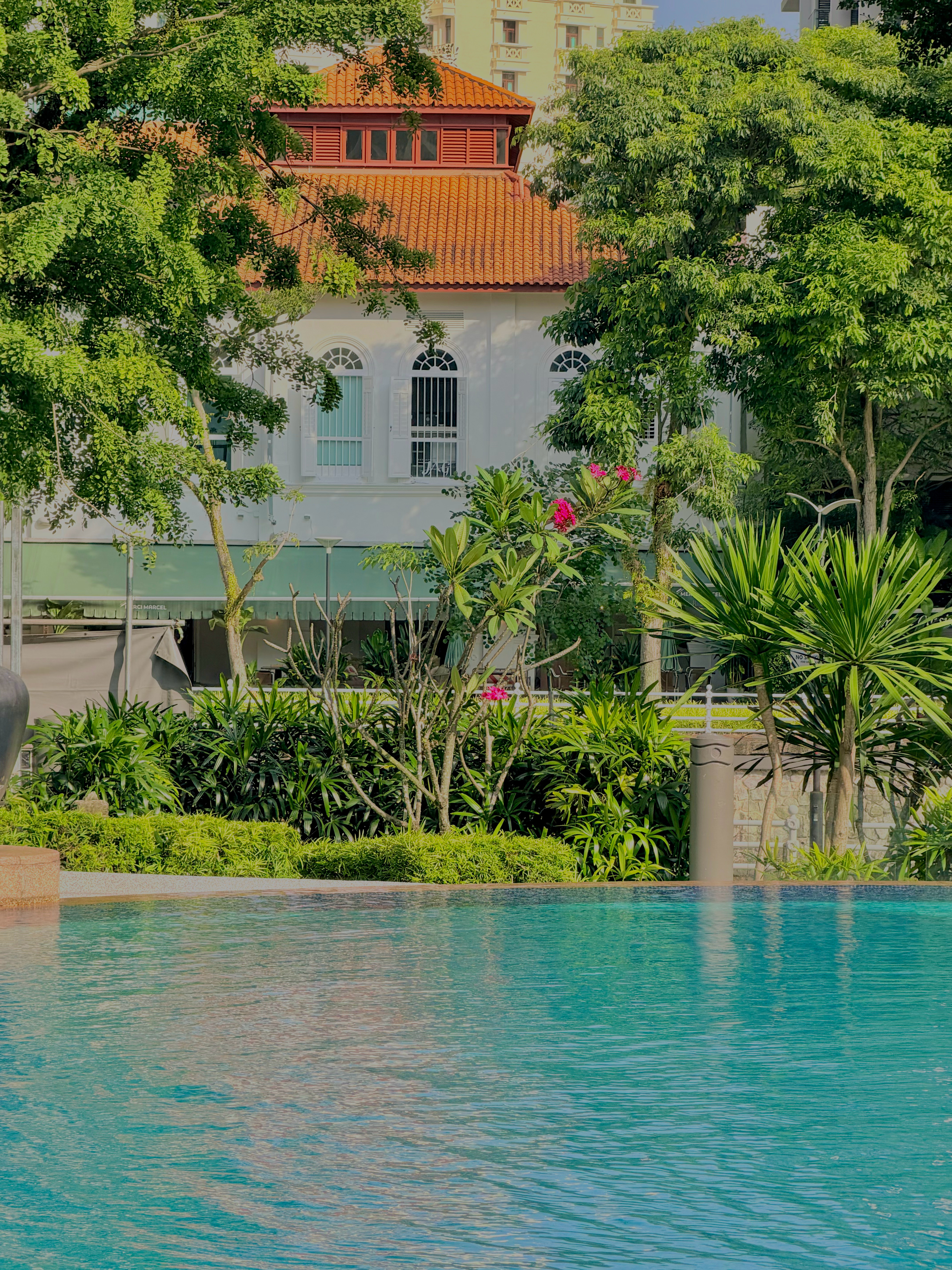 食早餐来啦🍳结束一周自我生活