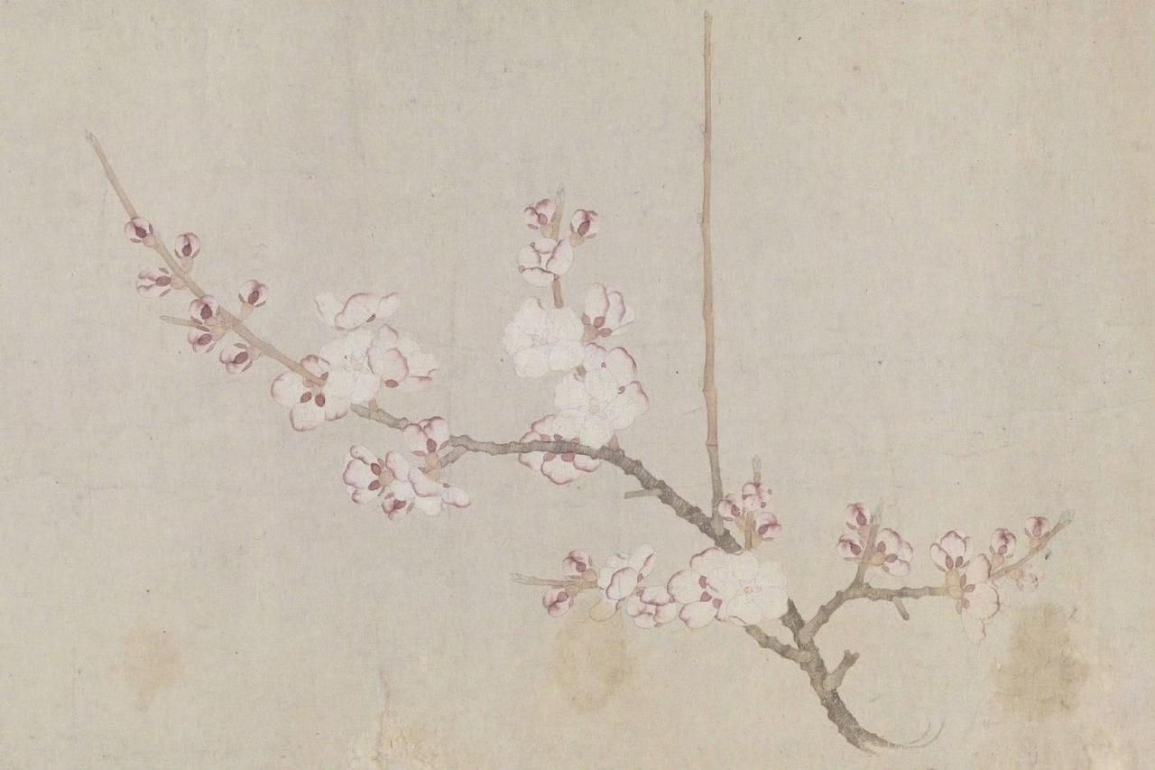 【元·钱选《八花图卷》】700多年前的花卉写真，让你一卷看尽，四时清雅[送花花