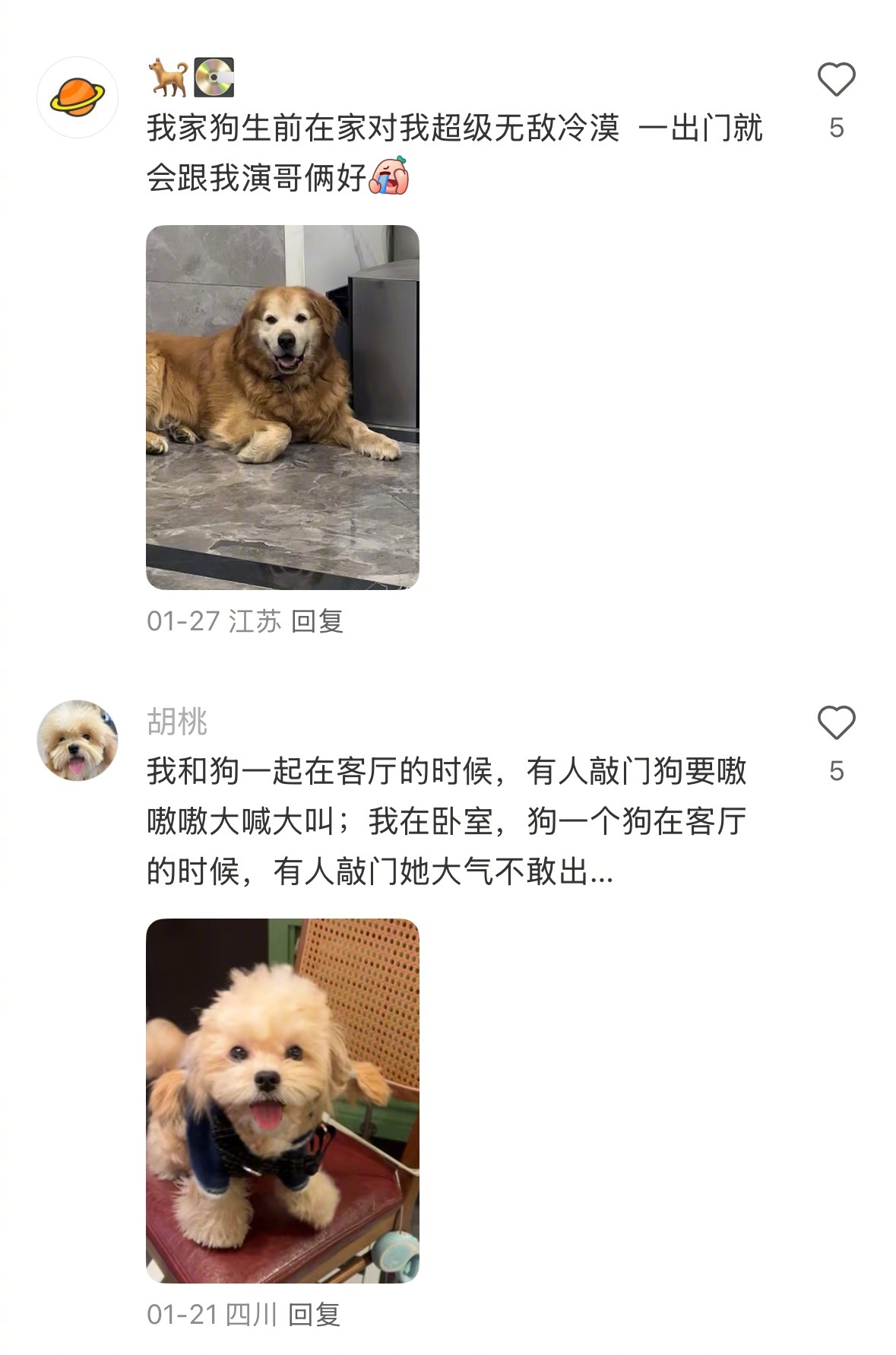 小狗在外面也会逢场作戏