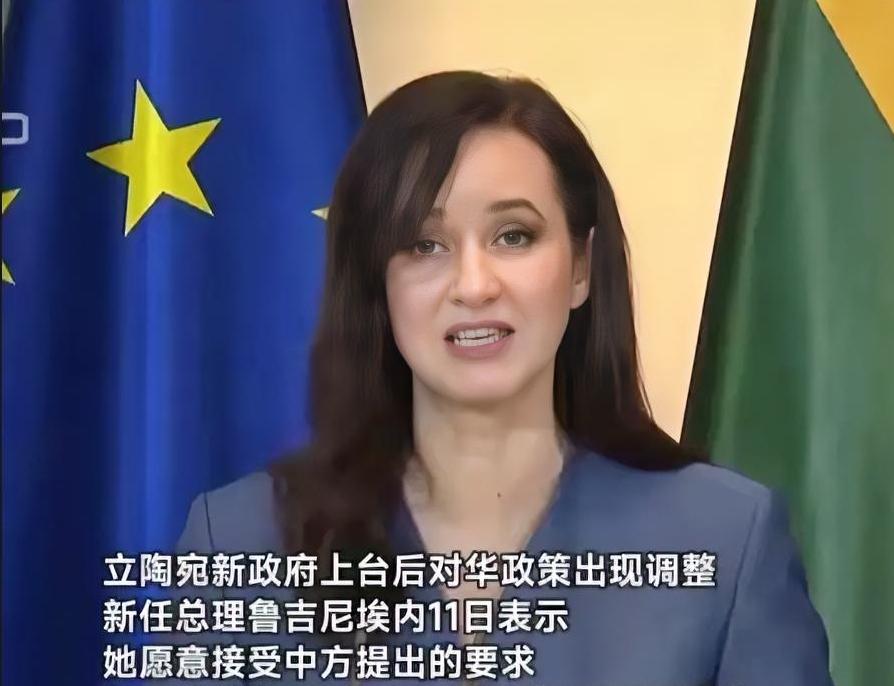 立陶宛政府举白旗，全面接受中国条件，恶斗5年，中方大获全胜！立陶宛为了修复同中国