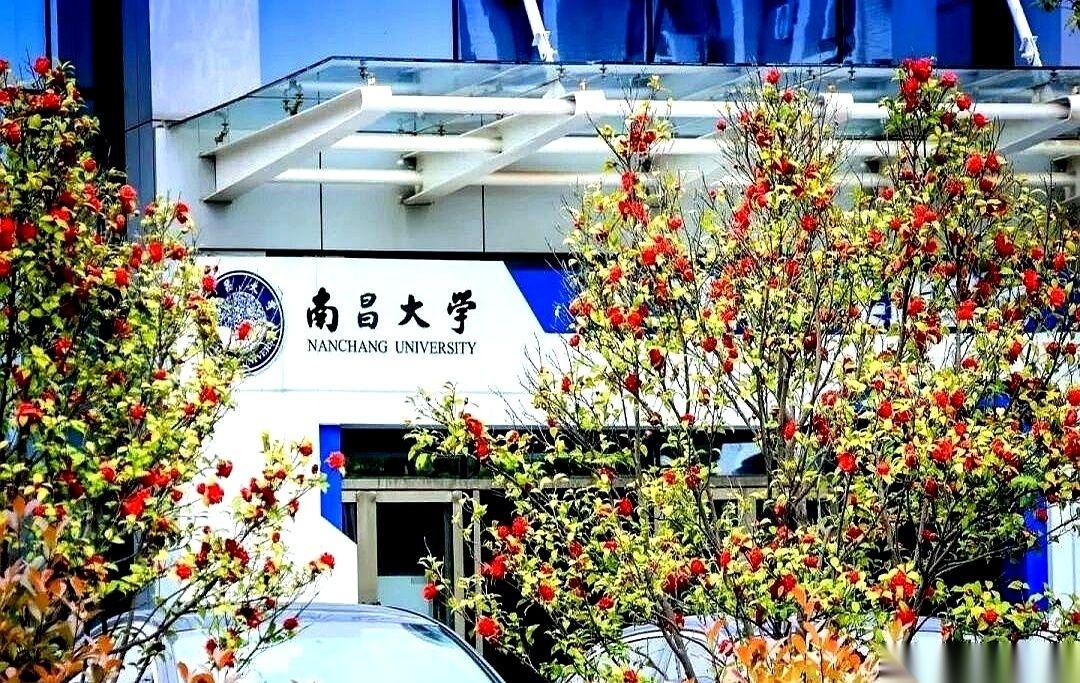 今年江西的高考录取账单一出，南昌大学这块全省唯一的211招牌，把无数家庭的算盘打