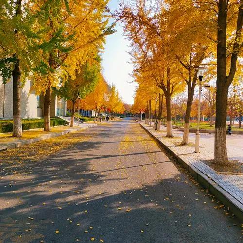 广东新成立了一所大湾区大学，是公办高校，由省府主办、东莞出钱保障，今年8月已经开