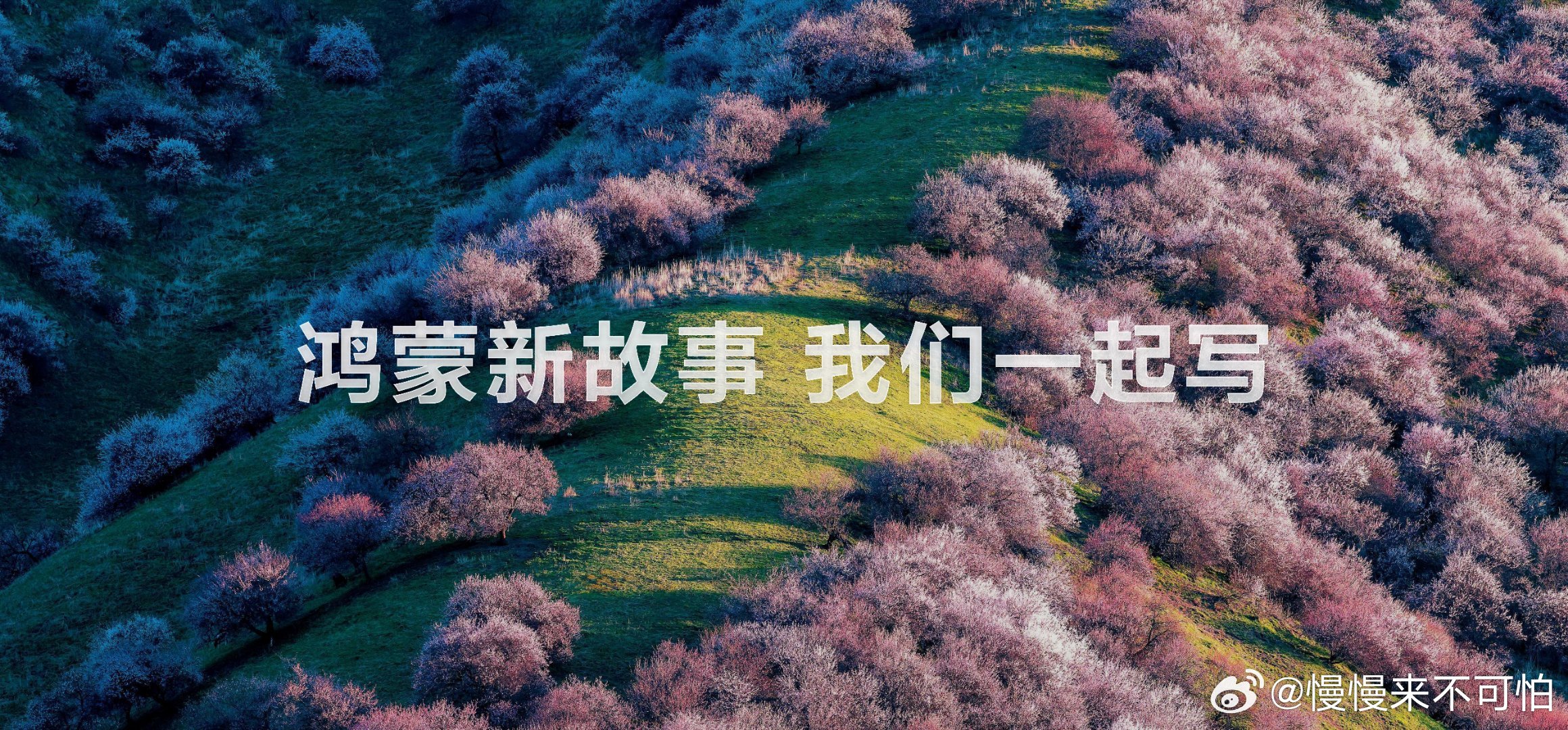 微信是鸿蒙年度更新王📱能明显感受到每一次更新的用心，微信和鸿蒙适配度越来越高