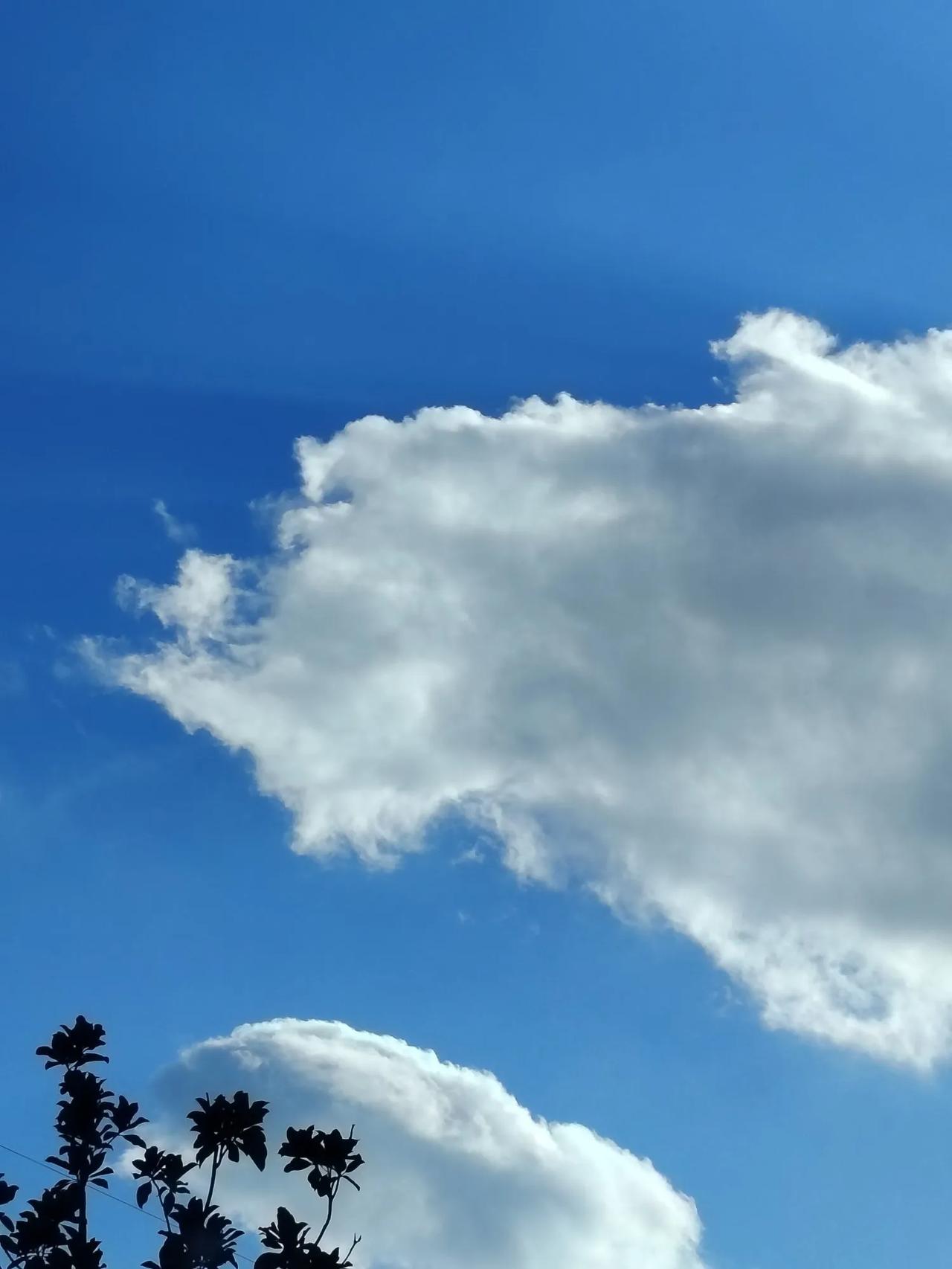 出上：矛屋两间能避雨，对下：草帽一顶好遮阳。