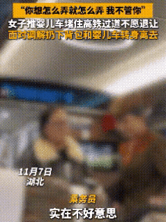 高铁到站了，乘客们着急下车，可是一个女子把婴儿车推到过道，阻拦了乘客们下车，工作