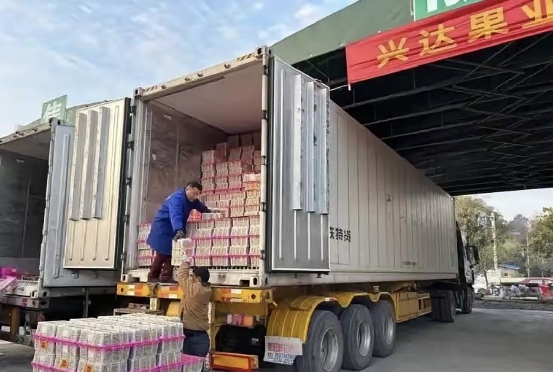 最近水果市场是真乱了。货运司机不拉货了，改卖水果，一车一车的脐橙、草莓、榴莲拉到