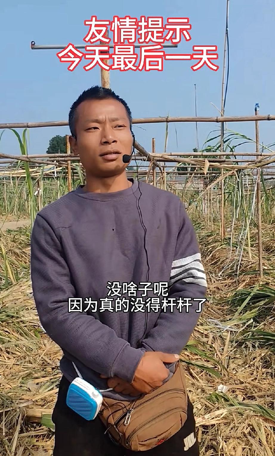 眉山甘蔗地老板发话了，让明天不要去了，不是不让大家玩，而是地里的甘蔗都被