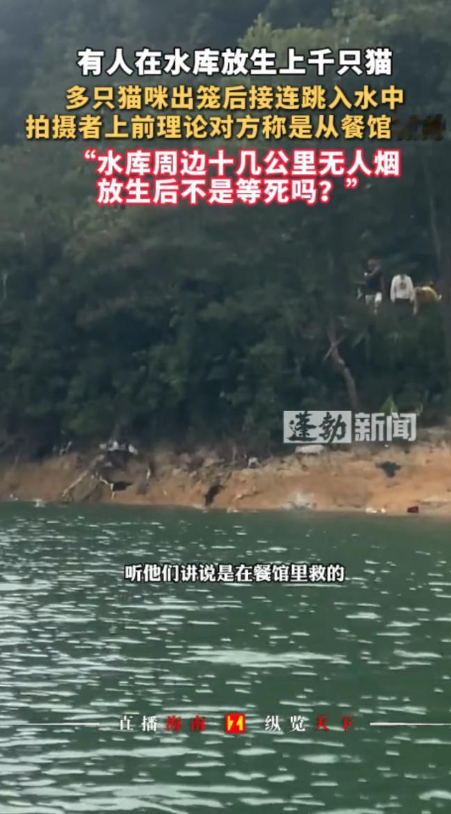 “严查到底！”11月1日，广东清远，一男子在水库钓鱼时，突然听到对岸有响动，还能