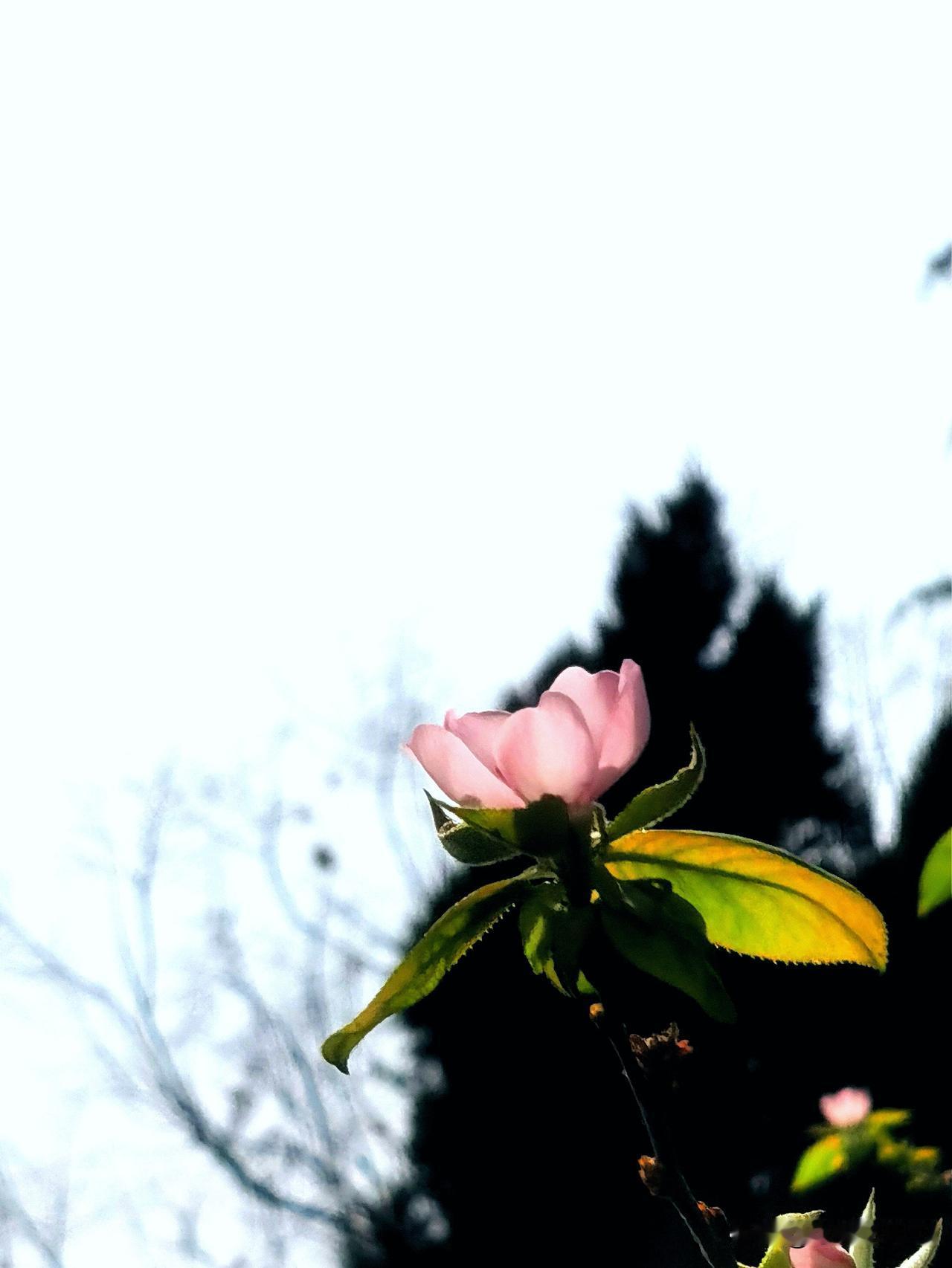 一场“开门杀”，一死一伤，两个家庭，悲剧就在一瞬间发生了。事故发生在山西大同