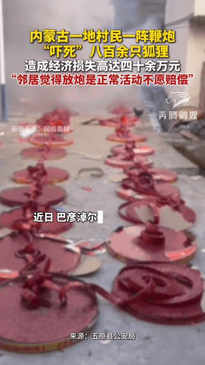 “亏大发了！”内蒙古巴尔淖尔，一村民举办活动放鞭炮，导致邻居家养殖的狐狸受到惊吓